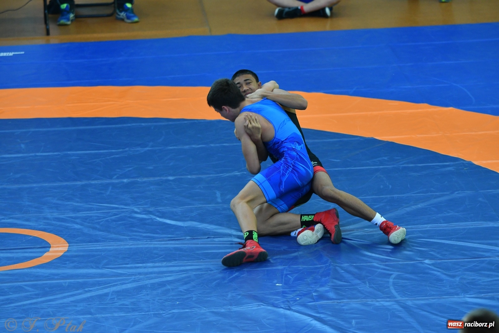 Zdjęcie w galerii na portalu naszraciborz.pl: Zapaśnicza Unia Racibórz świętuje 75-lecie klubu wiadomości z regionu