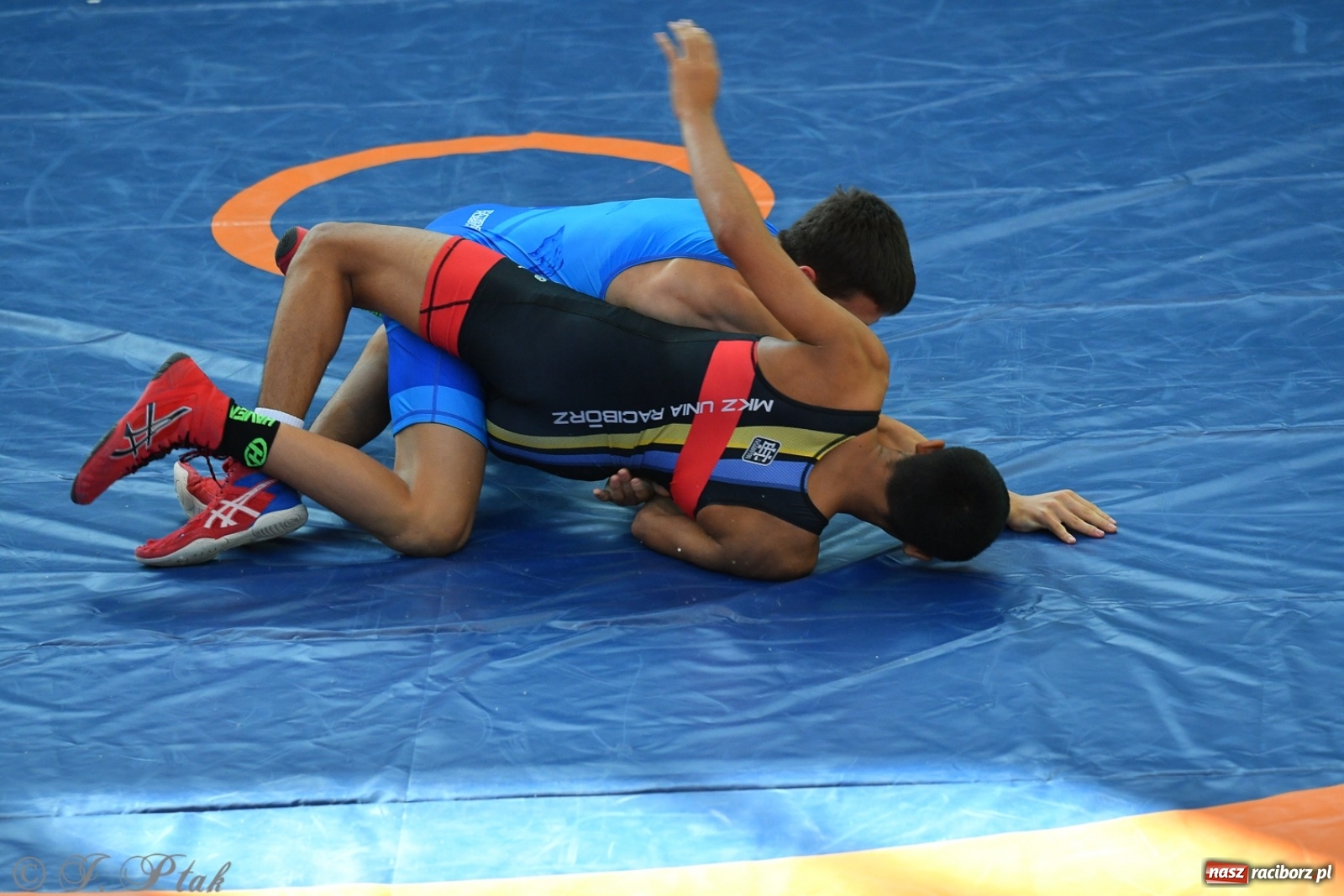 Zdjęcie w galerii na portalu naszraciborz.pl: Zapaśnicza Unia Racibórz świętuje 75-lecie klubu wiadomości z regionu