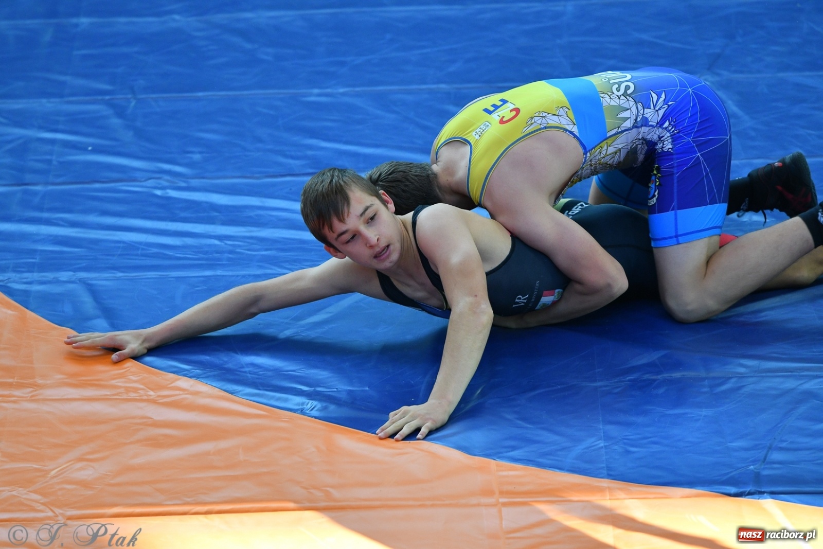 Zdjęcie w galerii na portalu naszraciborz.pl: Zapaśnicza Unia Racibórz świętuje 75-lecie klubu wiadomości z regionu