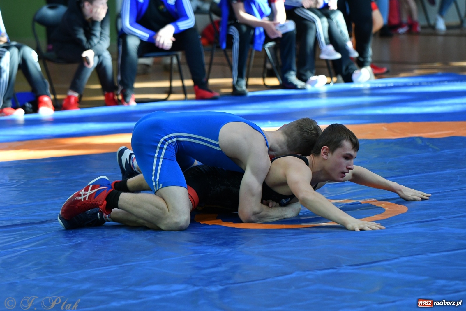 Zdjęcie w galerii na portalu naszraciborz.pl: Zapaśnicza Unia Racibórz świętuje 75-lecie klubu wiadomości z regionu