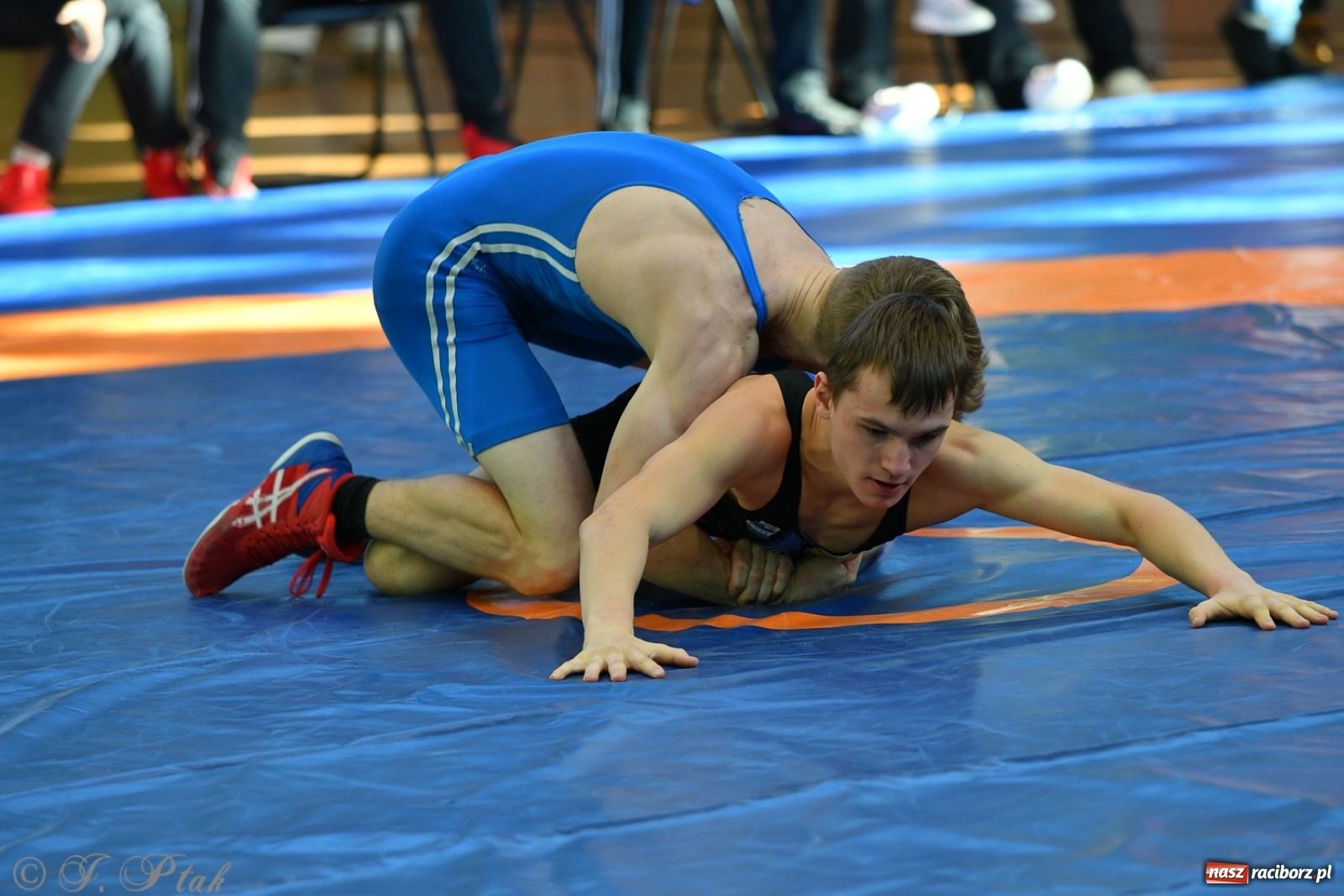 Zdjęcie w galerii na portalu naszraciborz.pl: Zapaśnicza Unia Racibórz świętuje 75-lecie klubu wiadomości z regionu