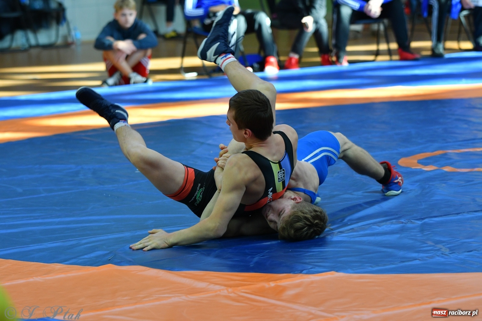 Zdjęcie w galerii na portalu naszraciborz.pl: Zapaśnicza Unia Racibórz świętuje 75-lecie klubu wiadomości z regionu