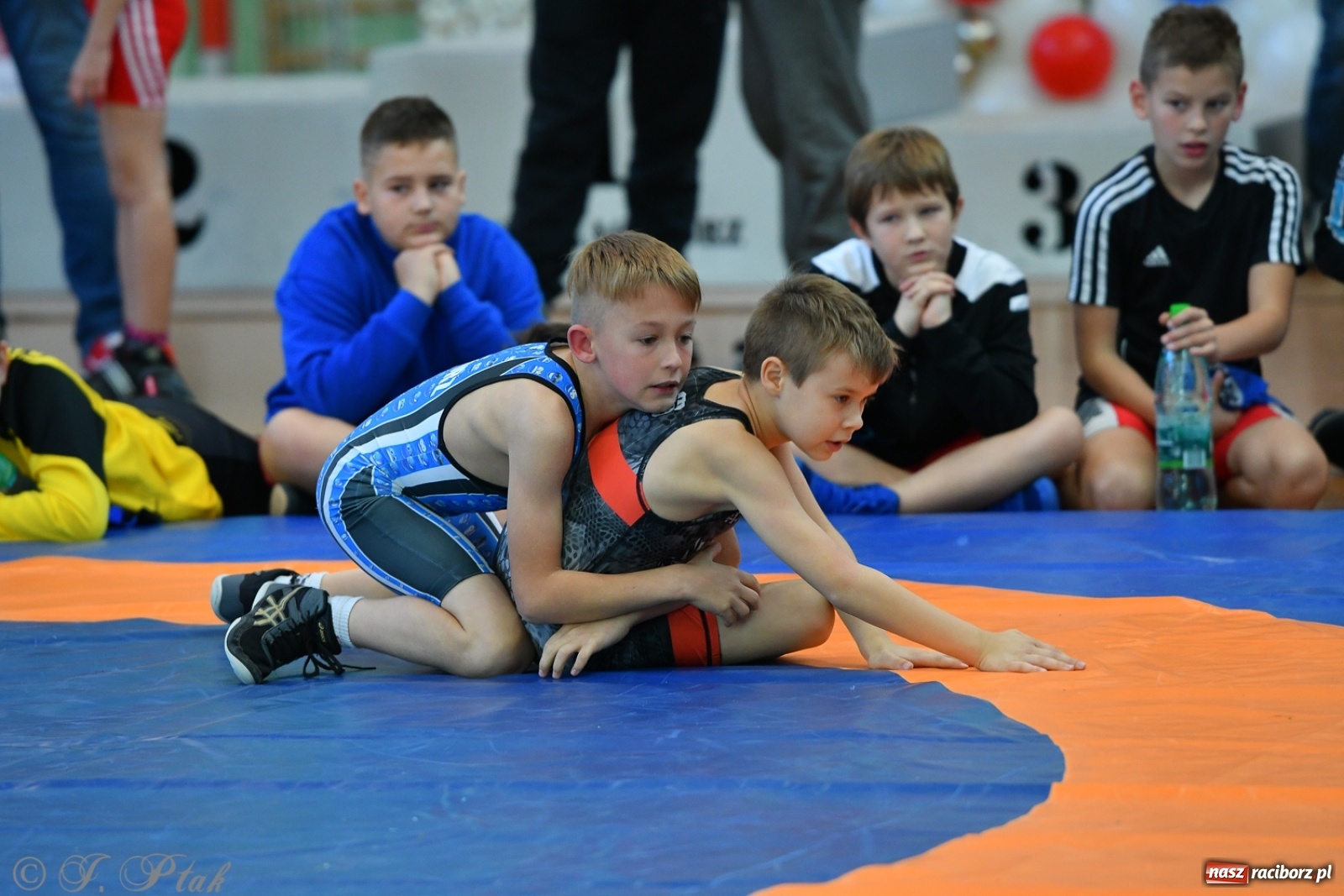 Zdjęcie w galerii na portalu naszraciborz.pl: Zapaśnicza Unia Racibórz świętuje 75-lecie klubu wiadomości z regionu