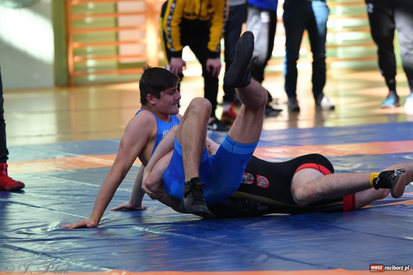 Zdjęcie w galerii na portalu naszraciborz.pl: Zapaśnicza Unia Racibórz świętuje 75-lecie klubu wiadomości z regionu