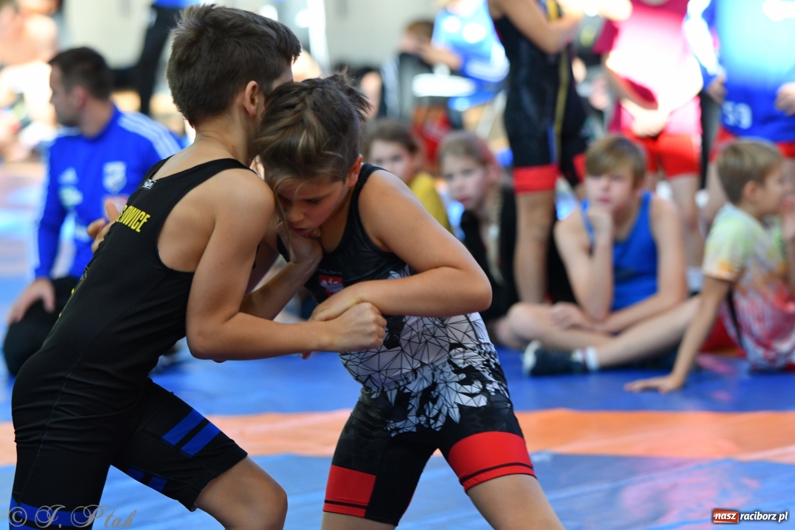 Zdjęcie w galerii na portalu naszraciborz.pl: Zapaśnicza Unia Racibórz świętuje 75-lecie klubu wiadomości z regionu