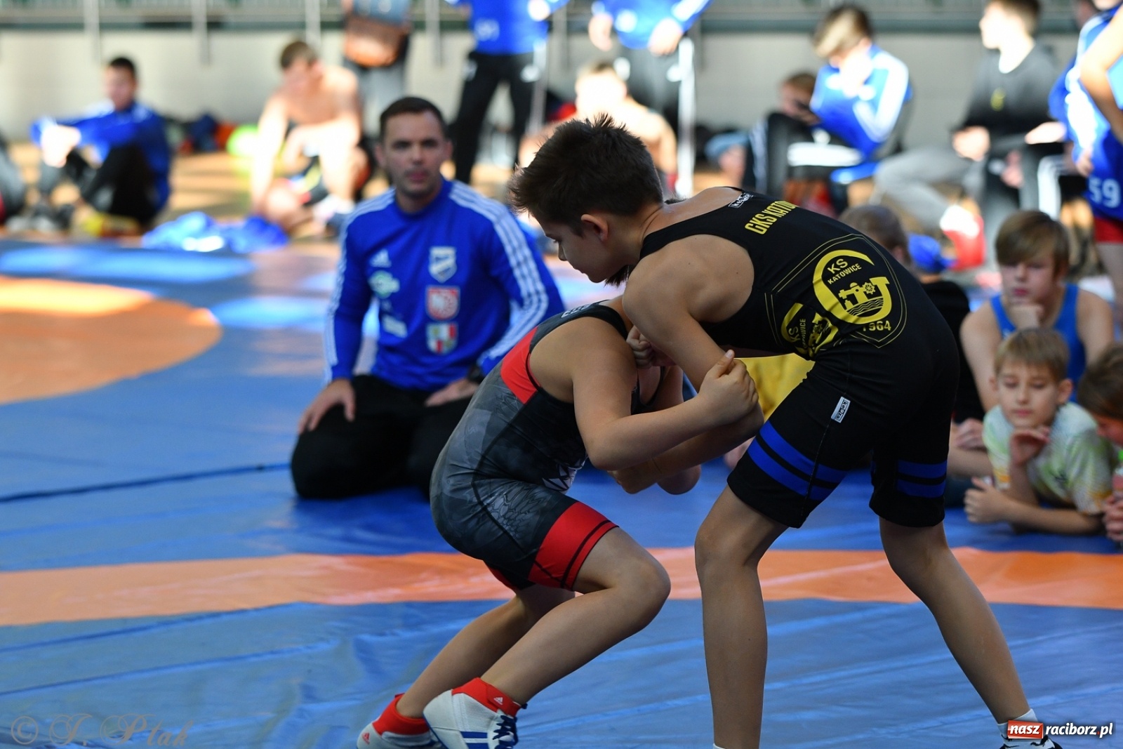 Zdjęcie w galerii na portalu naszraciborz.pl: Zapaśnicza Unia Racibórz świętuje 75-lecie klubu wiadomości z regionu