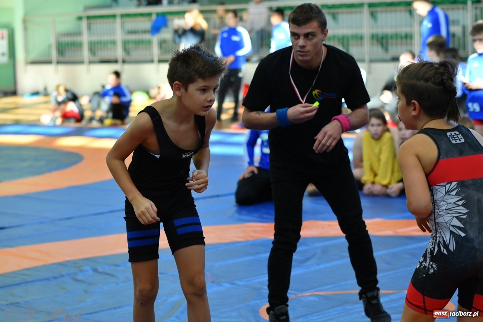 Zdjęcie w galerii na portalu naszraciborz.pl: Zapaśnicza Unia Racibórz świętuje 75-lecie klubu wiadomości z regionu