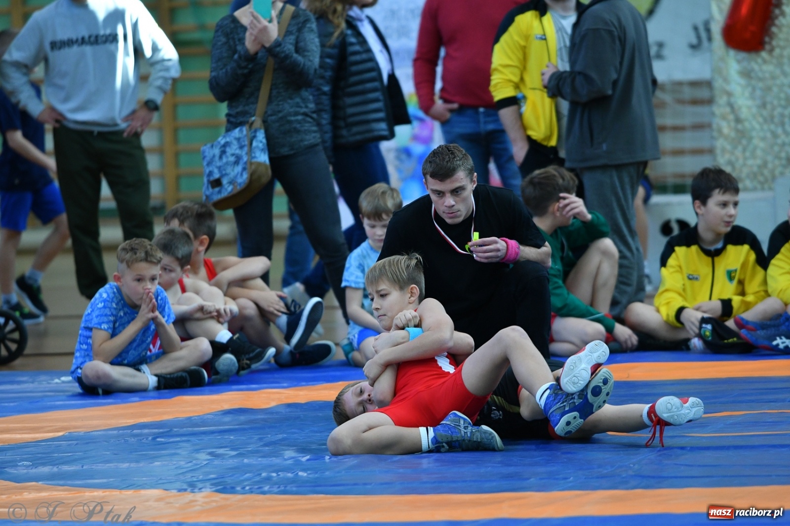 Zdjęcie w galerii na portalu naszraciborz.pl: Zapaśnicza Unia Racibórz świętuje 75-lecie klubu wiadomości z regionu