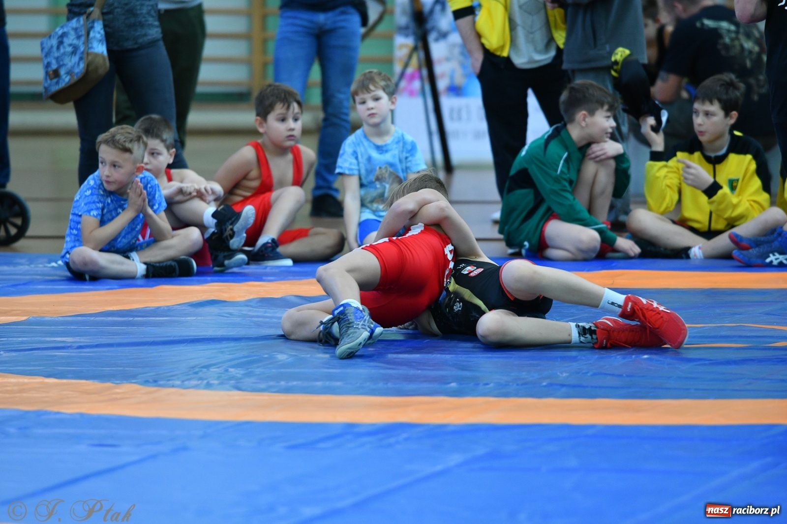 Zdjęcie w galerii na portalu naszraciborz.pl: Zapaśnicza Unia Racibórz świętuje 75-lecie klubu wiadomości z regionu