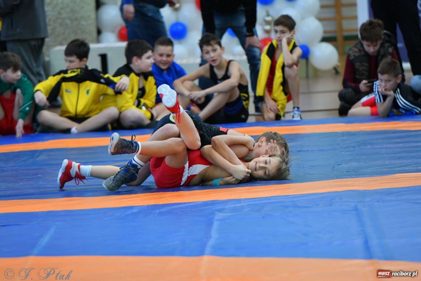 Zdjęcie w galerii na portalu naszraciborz.pl: Zapaśnicza Unia Racibórz świętuje 75-lecie klubu wiadomości z regionu