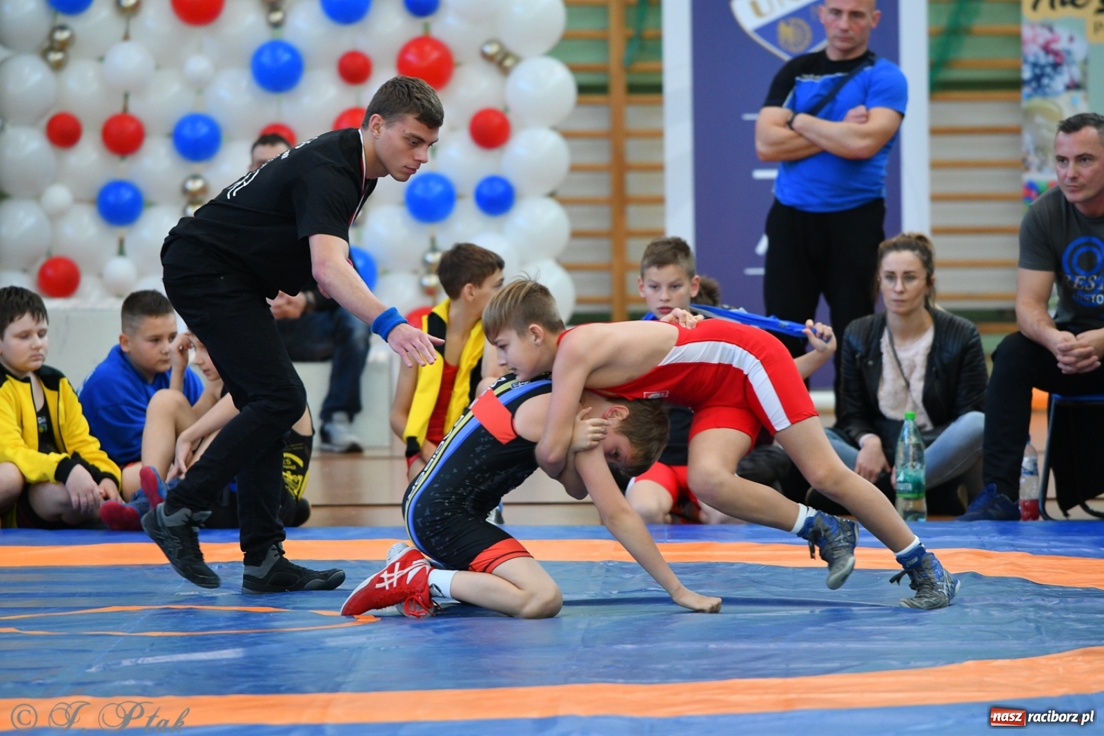 Zdjęcie w galerii na portalu naszraciborz.pl: Zapaśnicza Unia Racibórz świętuje 75-lecie klubu wiadomości z regionu