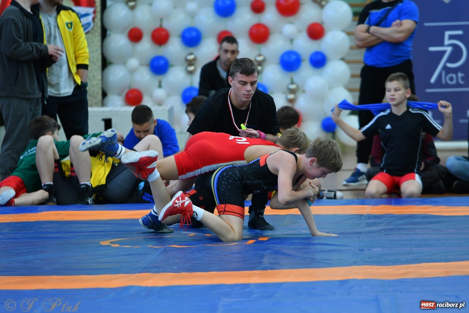 Zdjęcie w galerii na portalu naszraciborz.pl: Zapaśnicza Unia Racibórz świętuje 75-lecie klubu wiadomości z regionu