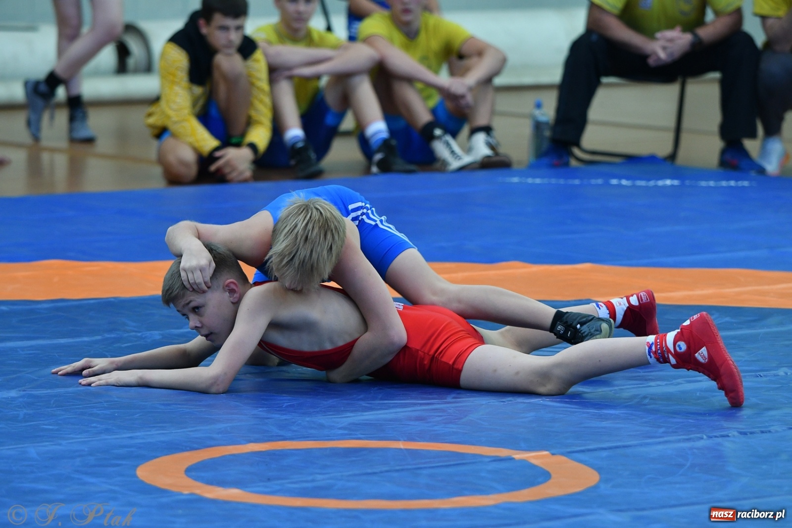 Zdjęcie w galerii na portalu naszraciborz.pl: Zapaśnicza Unia Racibórz świętuje 75-lecie klubu wiadomości z regionu