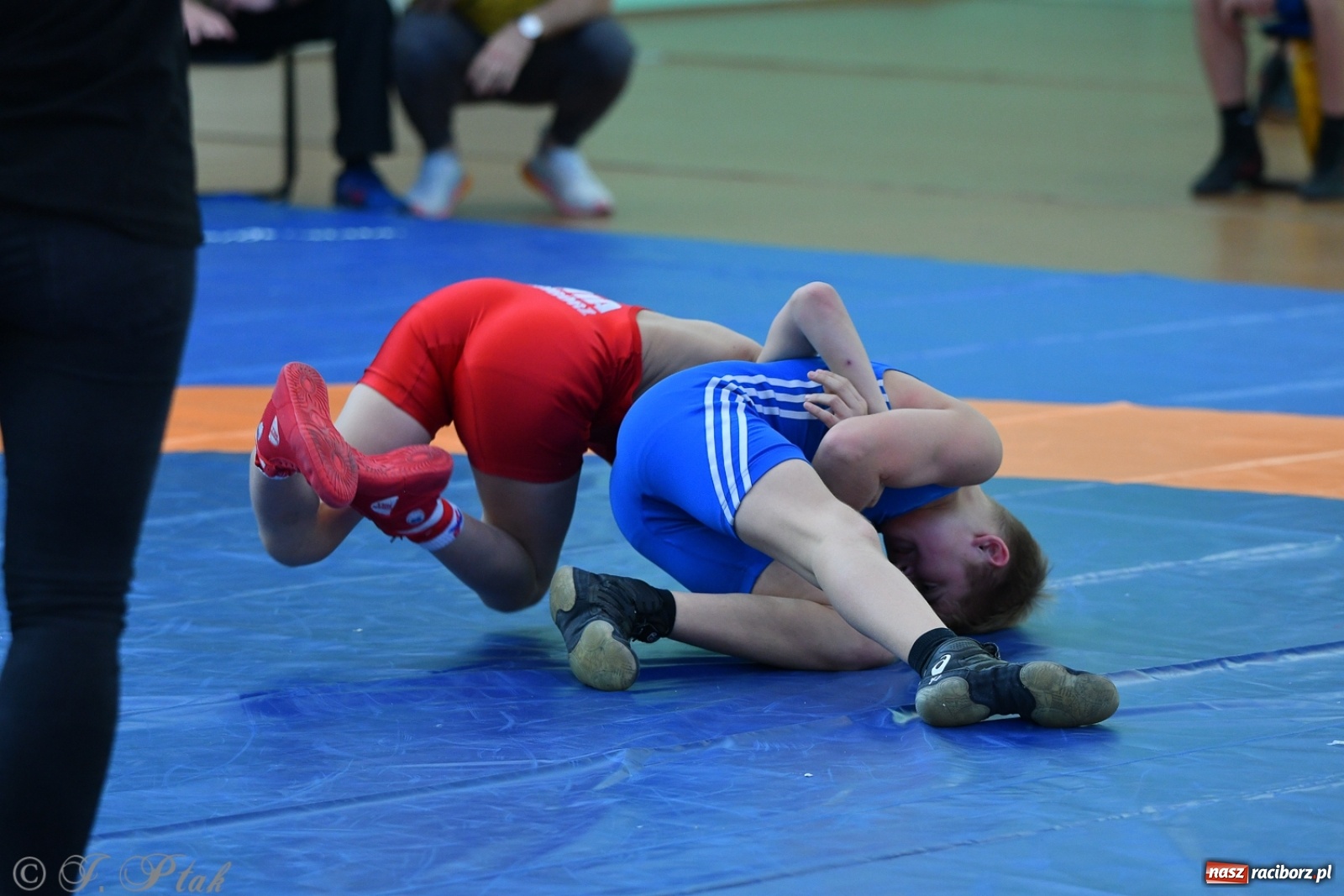 Zdjęcie w galerii na portalu naszraciborz.pl: Zapaśnicza Unia Racibórz świętuje 75-lecie klubu wiadomości z regionu