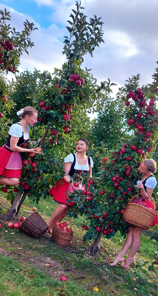 Zdjęcie w galerii na portalu naszraciborz.pl: Spektakularny sukces nowoczesnych gospodyń z KGW Rudnik wiadomości z regionu