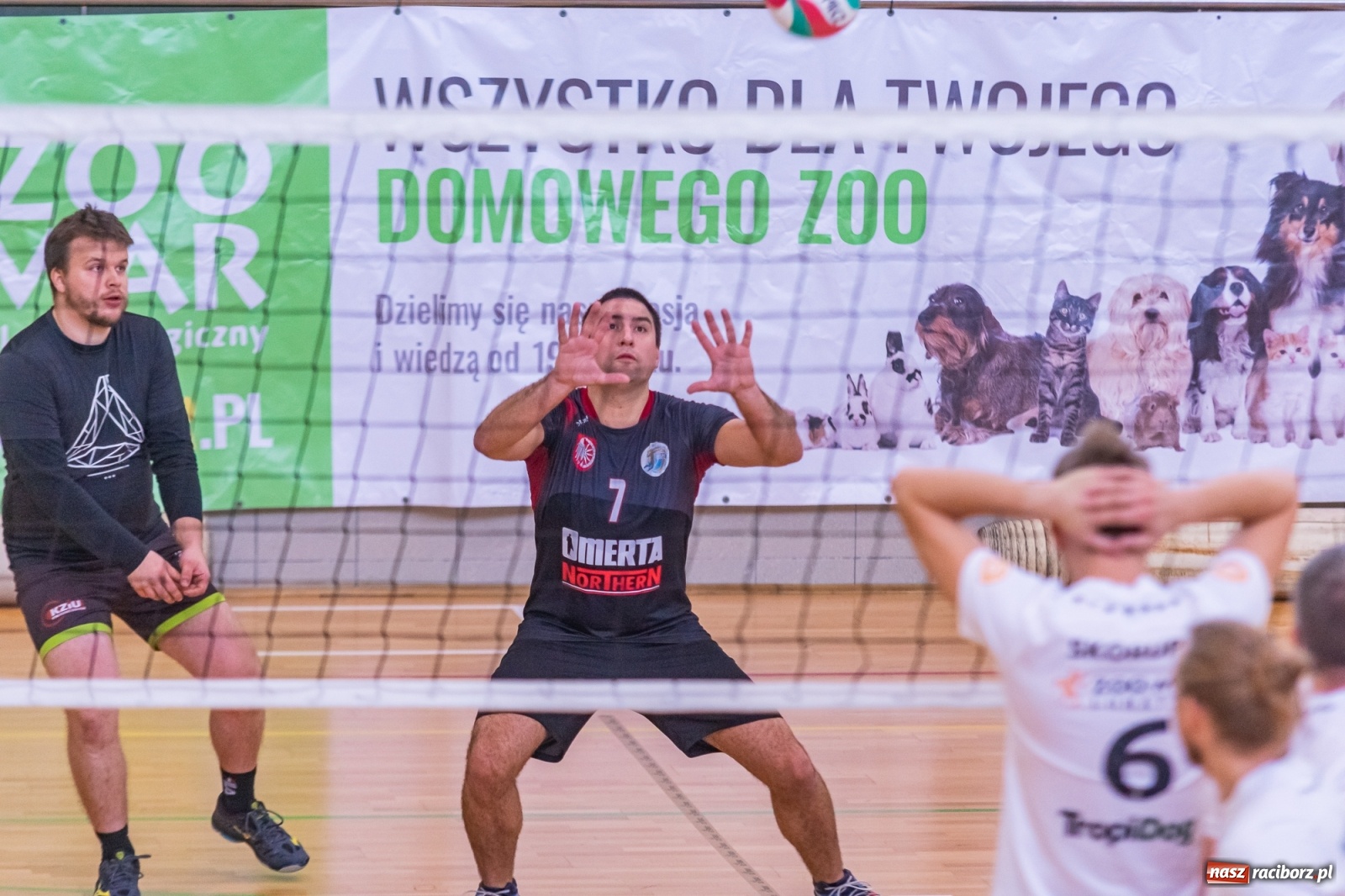 Zdjęcie w galerii na portalu naszraciborz.pl: RLPS. Faworyci z wygranymi [FOTO i WIDEO] wiadomości z regionu