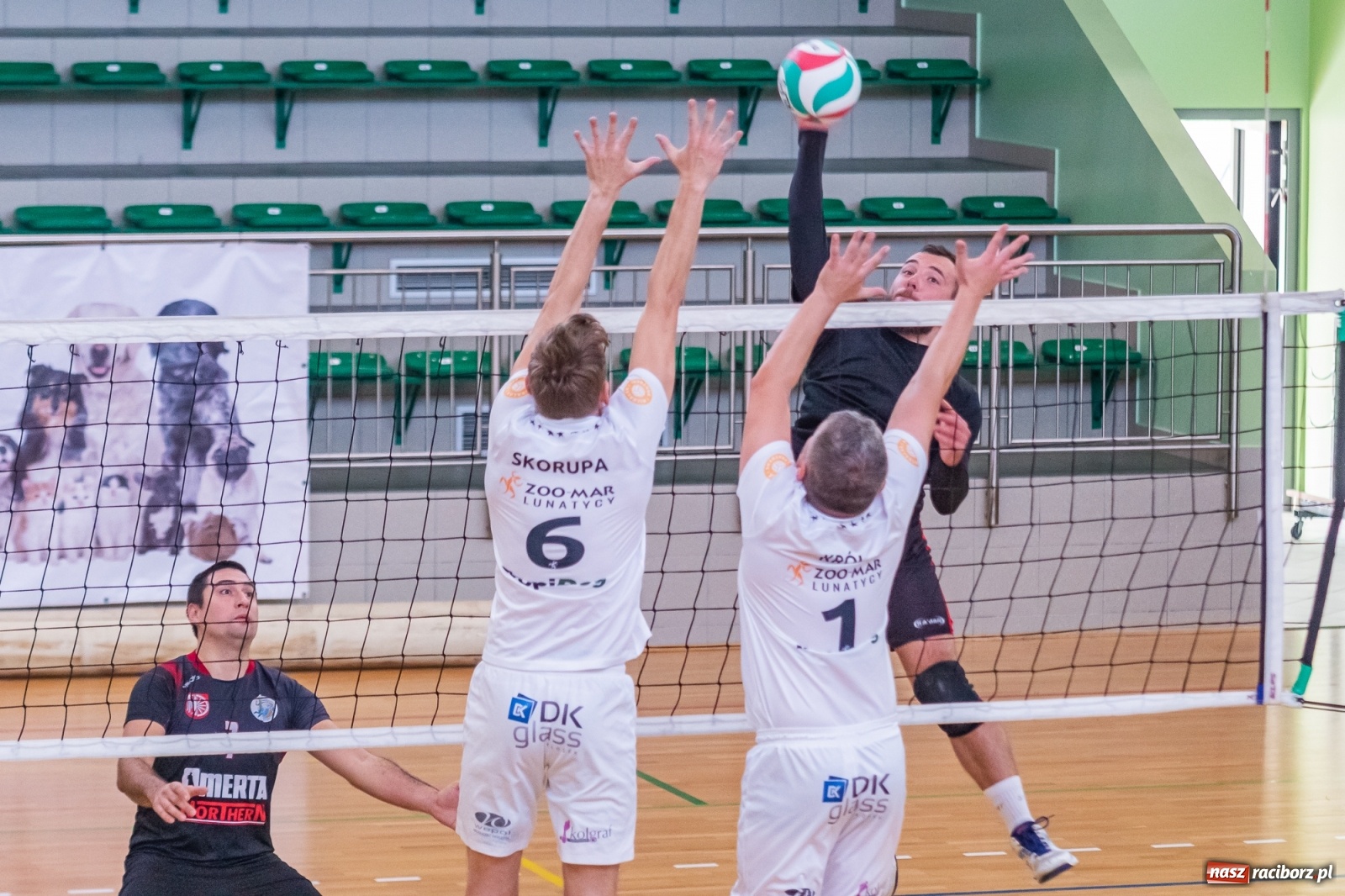 Zdjęcie w galerii na portalu naszraciborz.pl: RLPS. Faworyci z wygranymi [FOTO i WIDEO] wiadomości z regionu