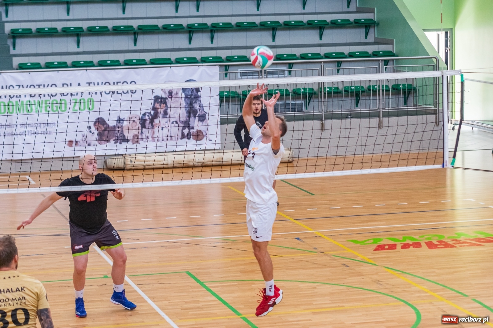 Zdjęcie w galerii na portalu naszraciborz.pl: RLPS. Faworyci z wygranymi [FOTO i WIDEO] wiadomości z regionu