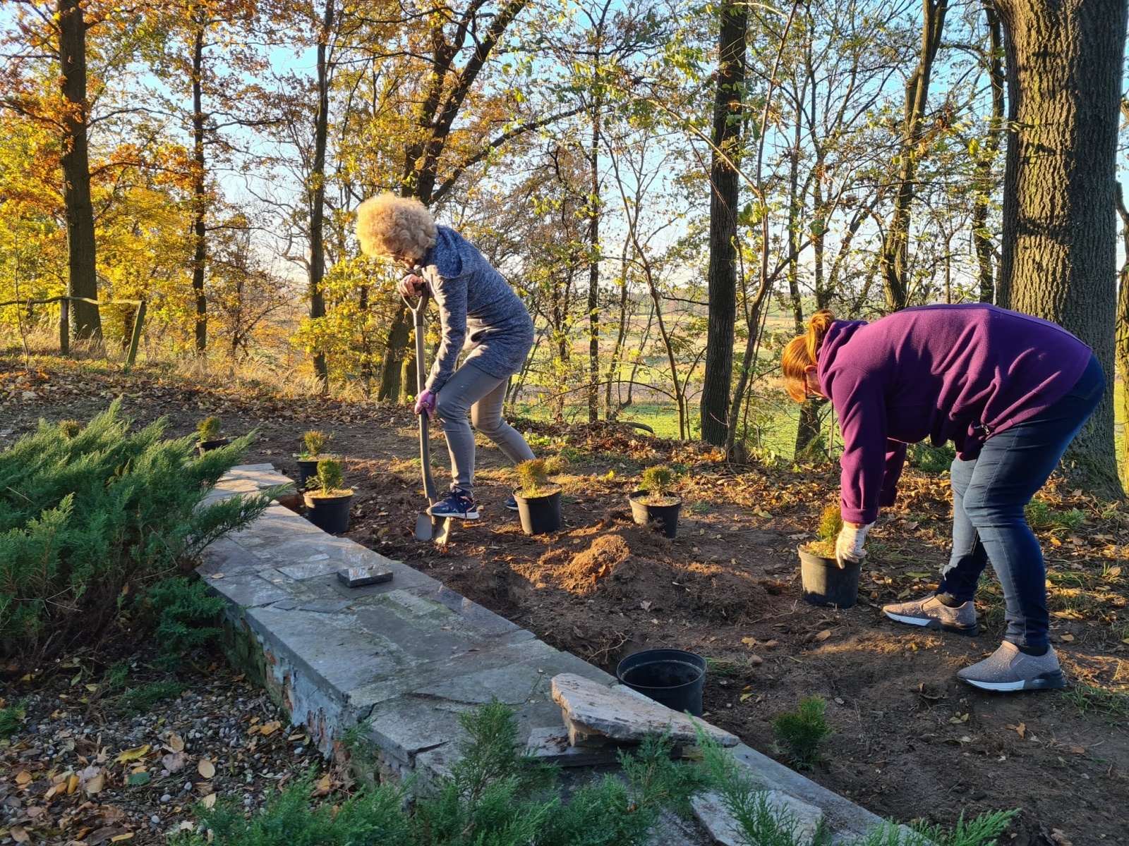 Zdjęcie w galerii na portalu naszraciborz.pl: Strażacy z Samborowic posadzili sto drzew na stulecie jednostki wiadomości z regionu