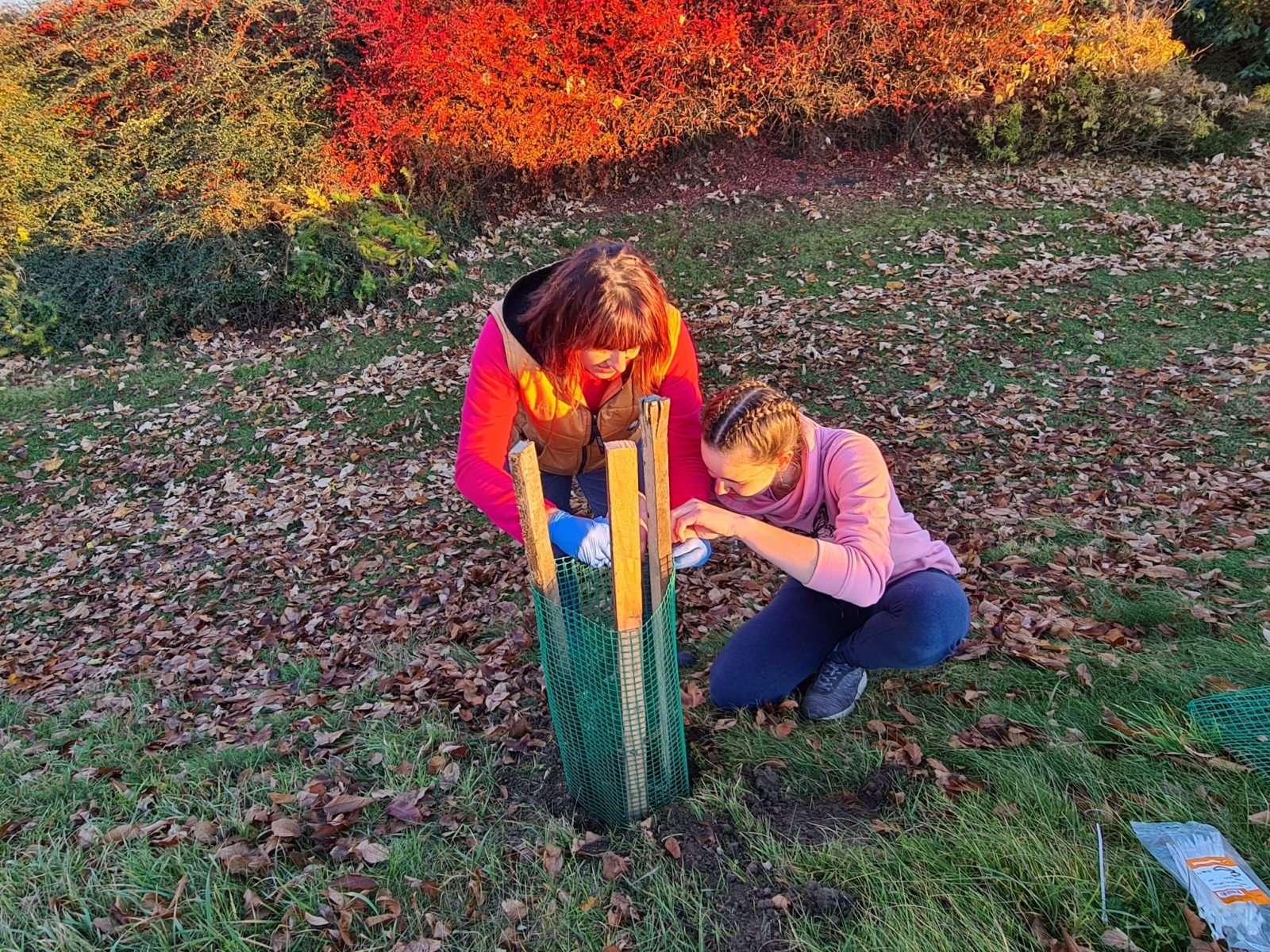 Zdjęcie w galerii na portalu naszraciborz.pl: Strażacy z Samborowic posadzili sto drzew na stulecie jednostki wiadomości z regionu
