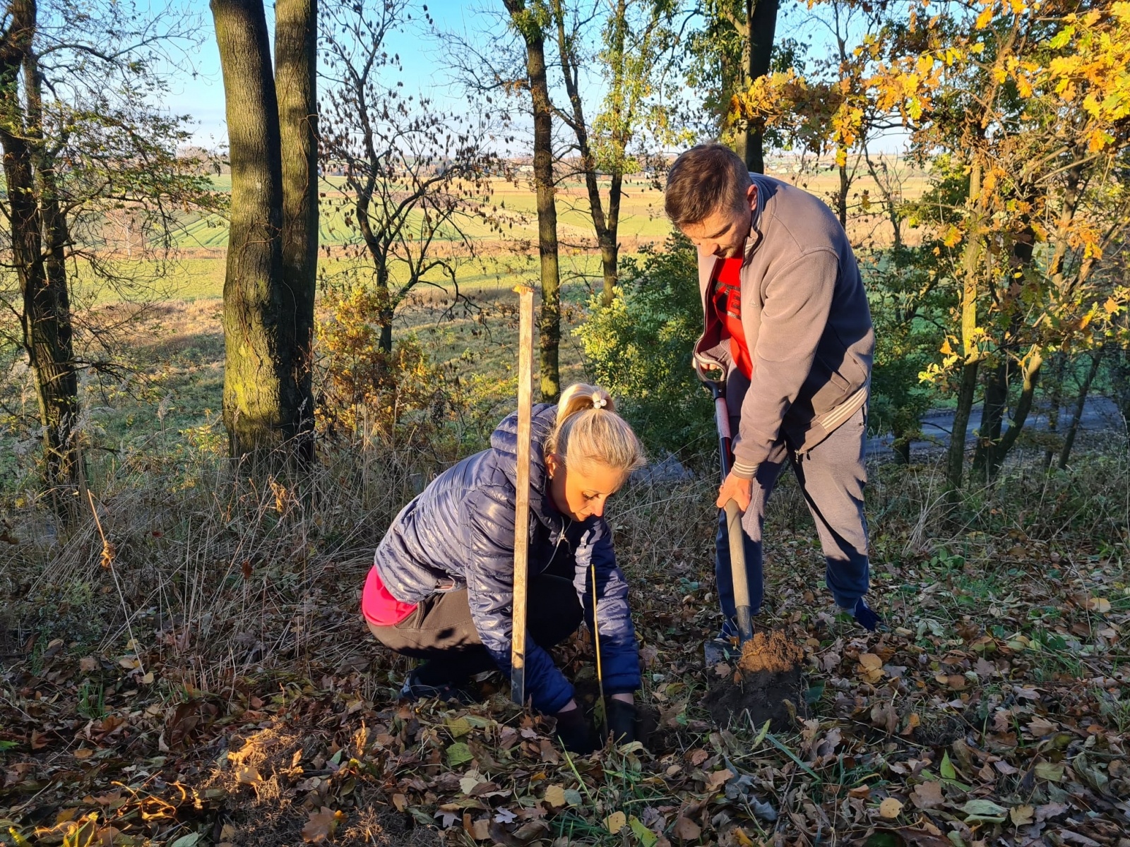 Zdjęcie w galerii na portalu naszraciborz.pl: Strażacy z Samborowic posadzili sto drzew na stulecie jednostki wiadomości z regionu