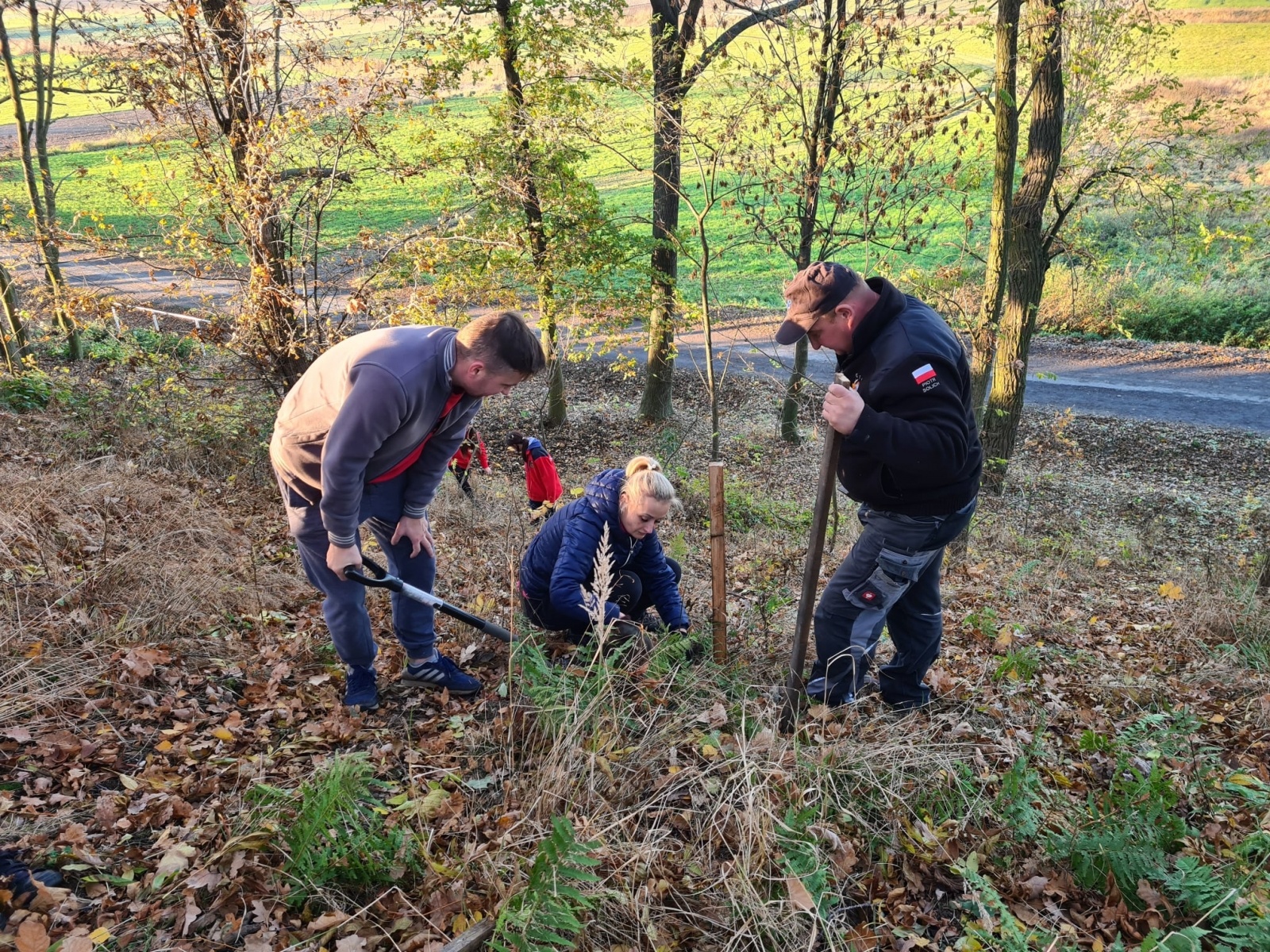 Zdjęcie w galerii na portalu naszraciborz.pl: Strażacy z Samborowic posadzili sto drzew na stulecie jednostki wiadomości z regionu