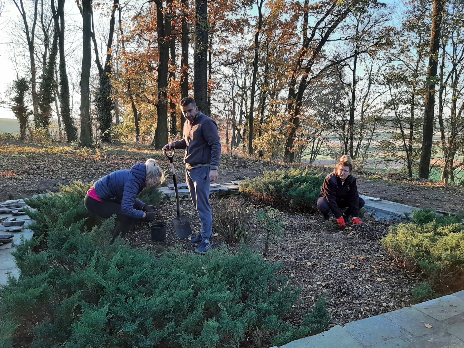 Zdjęcie w galerii na portalu naszraciborz.pl: Strażacy z Samborowic posadzili sto drzew na stulecie jednostki wiadomości z regionu