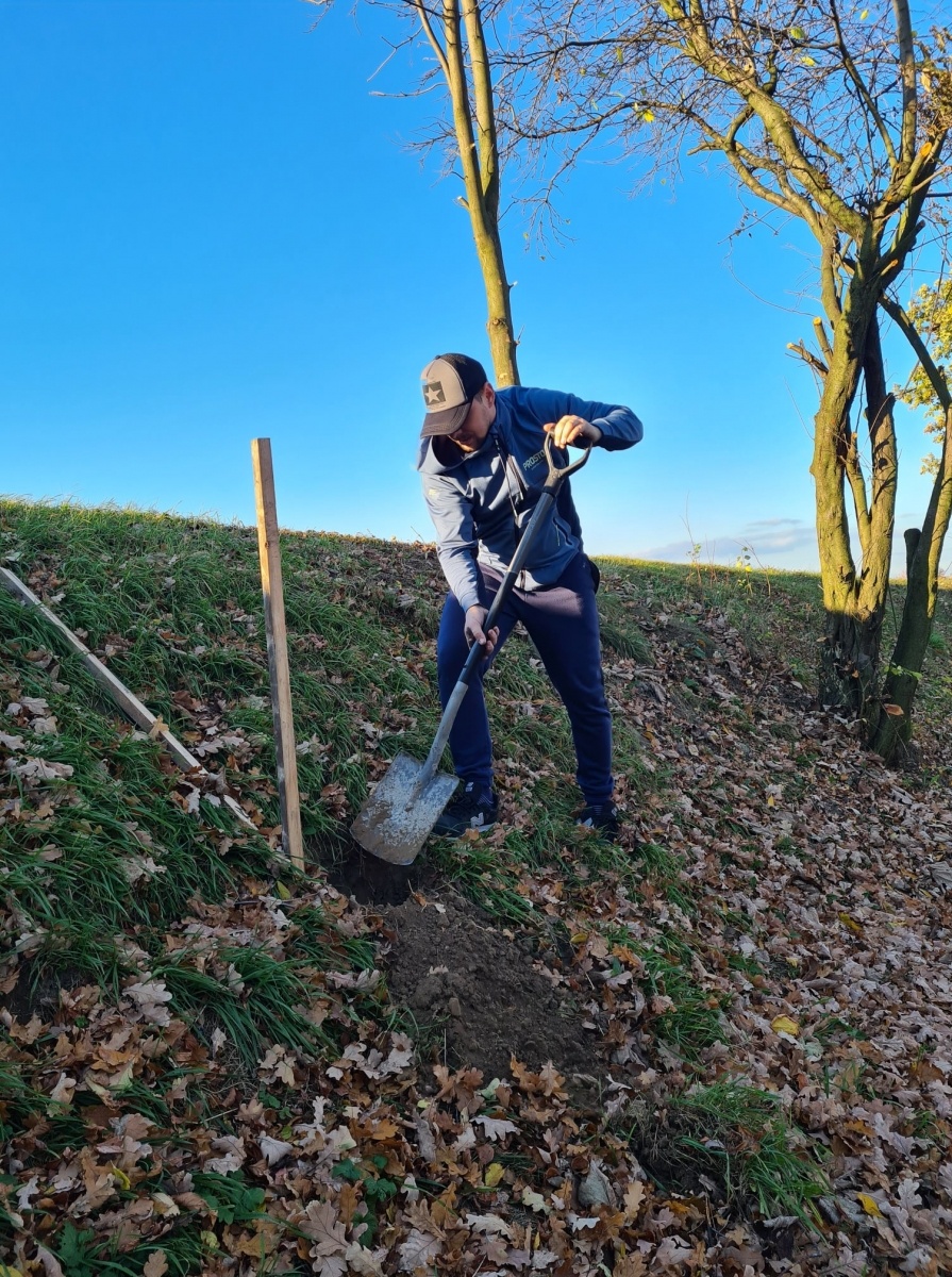 Zdjęcie w galerii na portalu naszraciborz.pl: Strażacy z Samborowic posadzili sto drzew na stulecie jednostki wiadomości z regionu