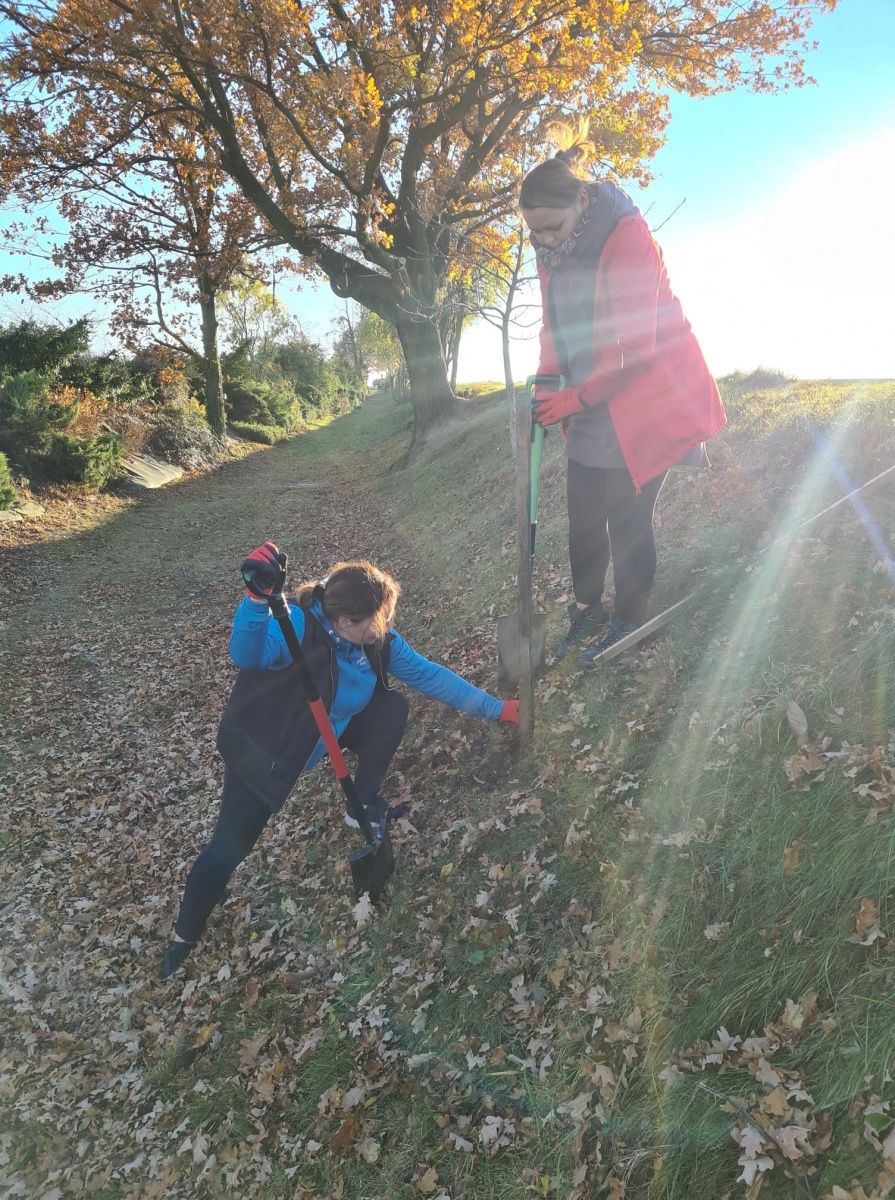 Zdjęcie w galerii na portalu naszraciborz.pl: Strażacy z Samborowic posadzili sto drzew na stulecie jednostki wiadomości z regionu