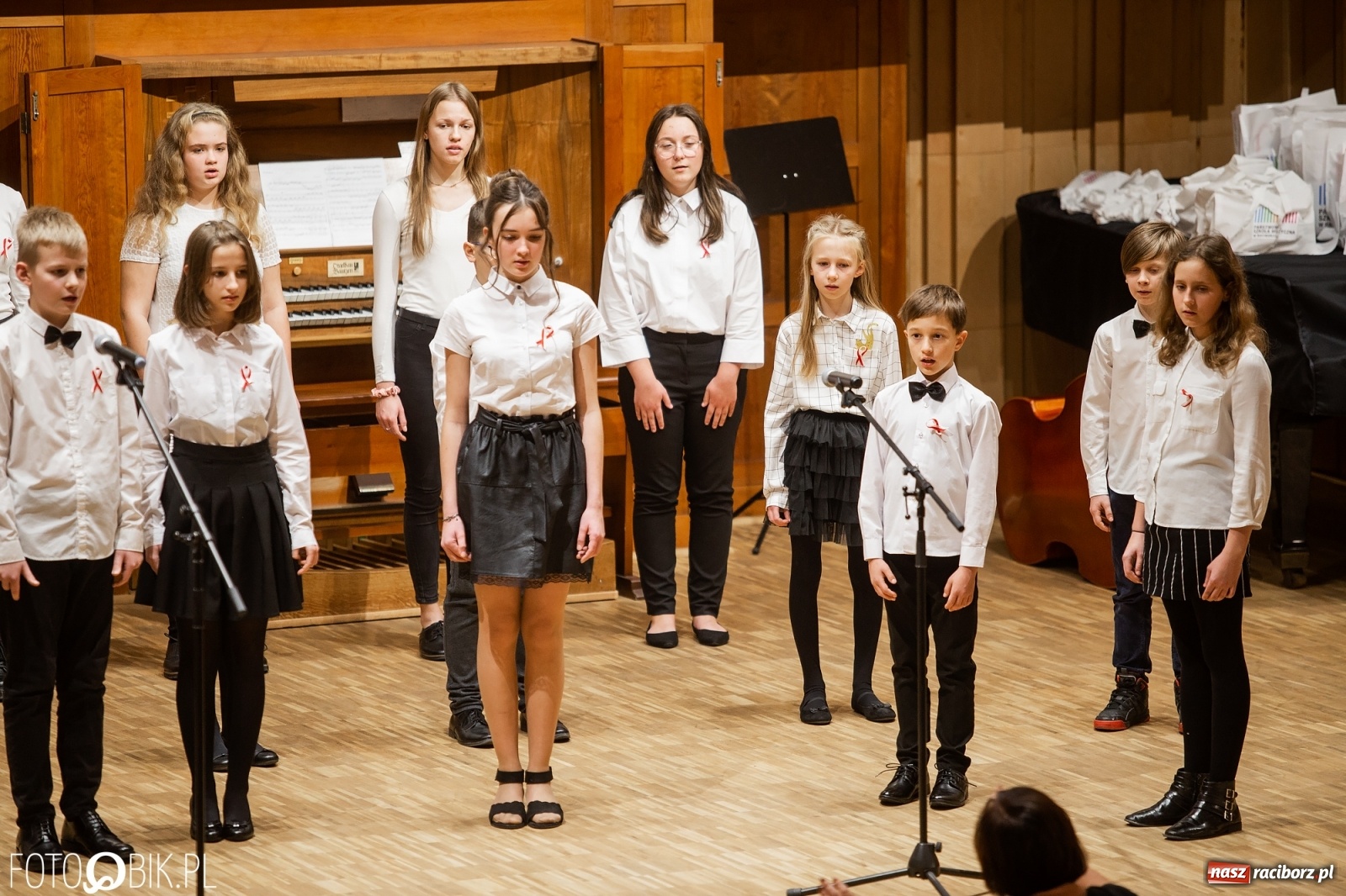 Zdjęcie w galerii na portalu naszraciborz.pl: Koncert muzyki polskiej w PSM na Święto Niepodległości wiadomości z regionu