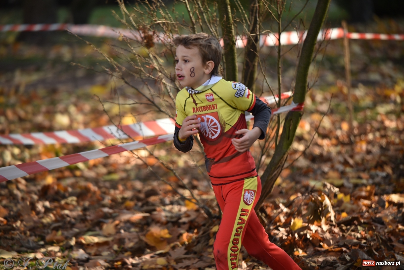 Zdjęcie w galerii na portalu naszraciborz.pl: Bitwa o raciborską basztę. Bieg OCR dla dzieci na Święto Niepodległości wiadomości z regionu