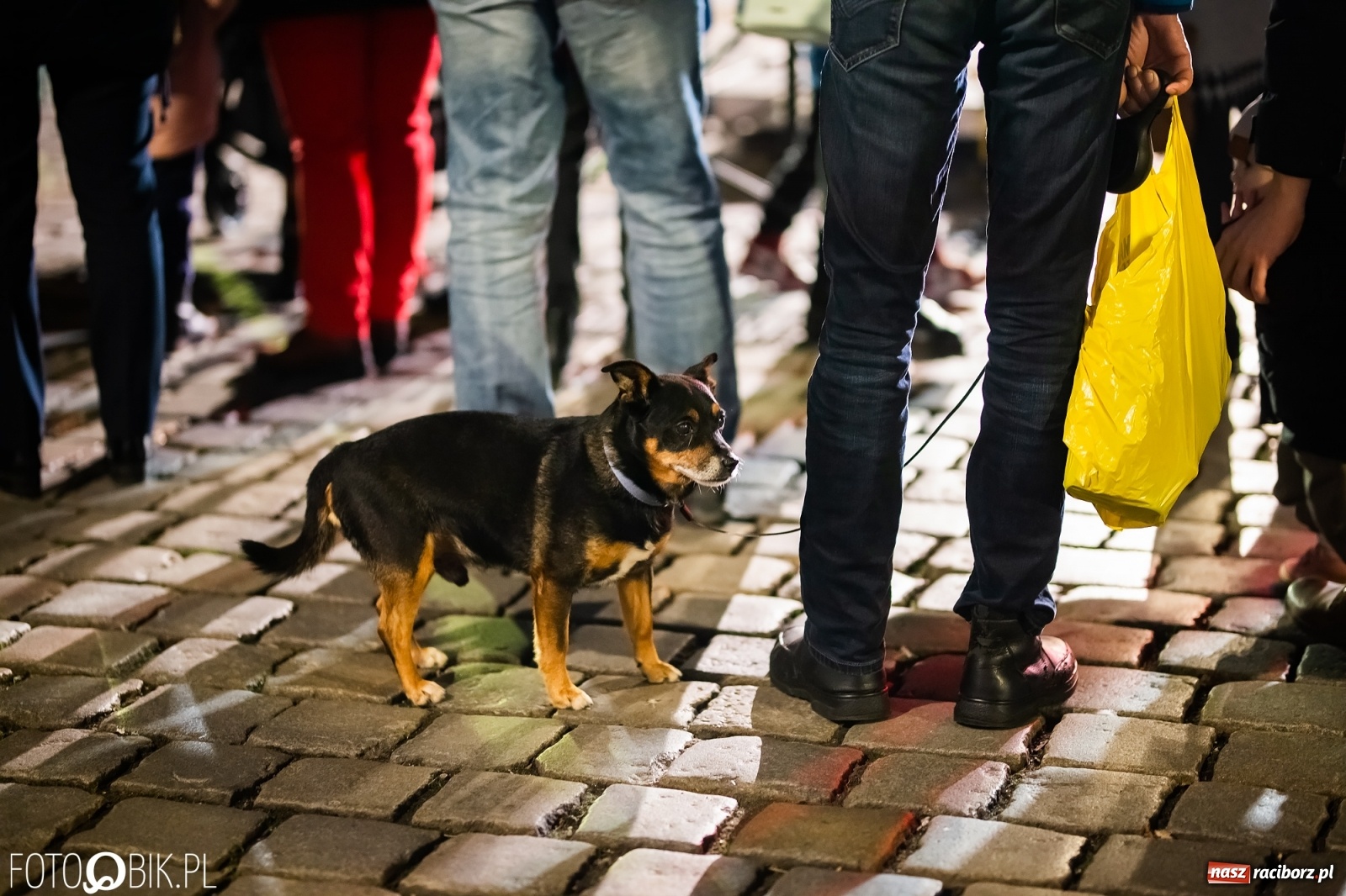 Zdjęcie w galerii na portalu naszraciborz.pl: Patriotyczne śpiewanie przy ognisku na Rynku wiadomości z regionu