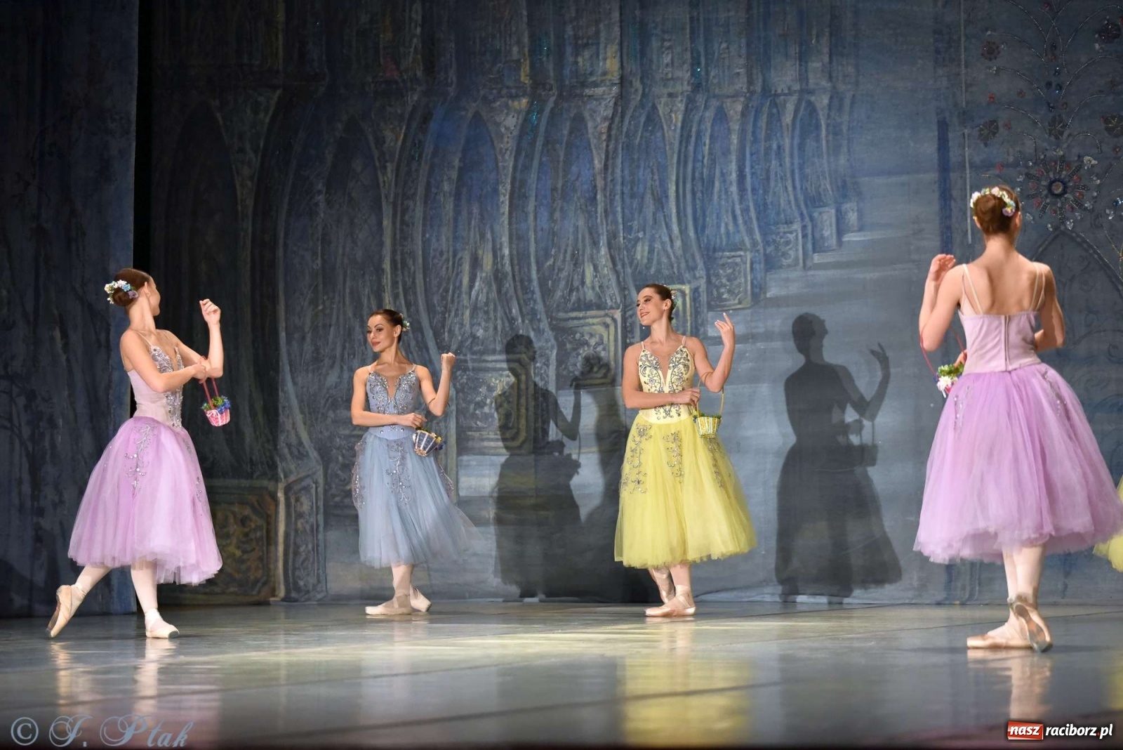 Zdjęcie w galerii na portalu naszraciborz.pl: Jezioro łabędzie. Arcydzieło Czajkowskiego na deskach RCK wiadomości z regionu