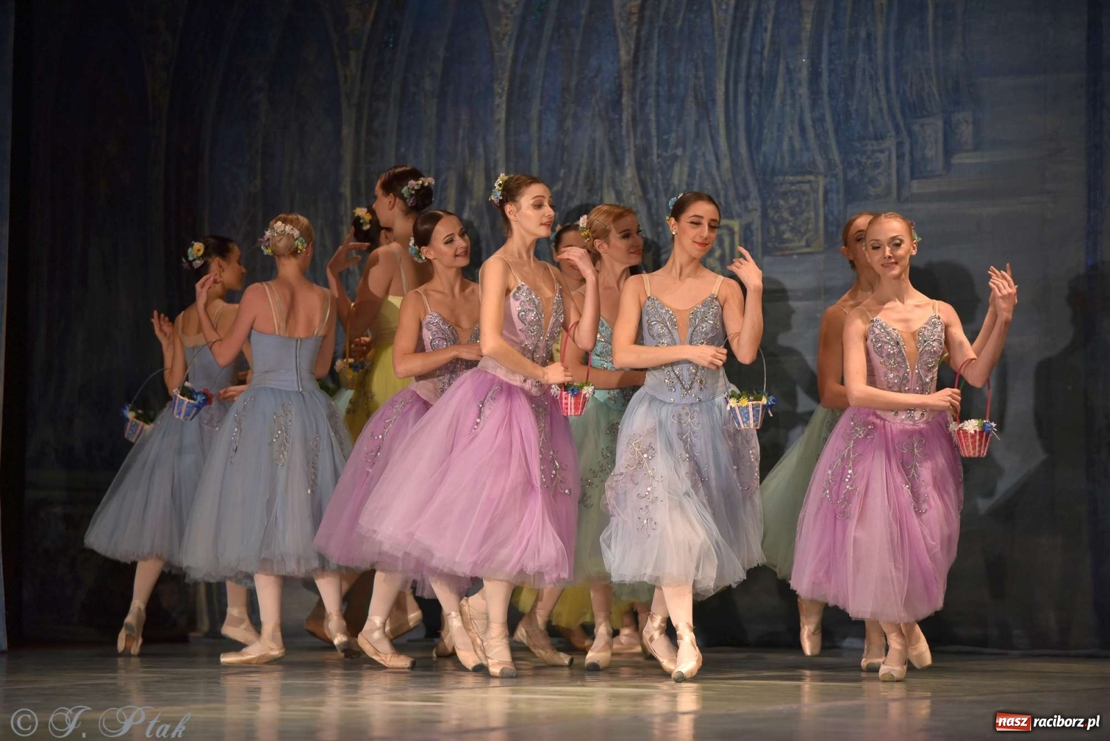 Zdjęcie w galerii na portalu naszraciborz.pl: Jezioro łabędzie. Arcydzieło Czajkowskiego na deskach RCK wiadomości z regionu