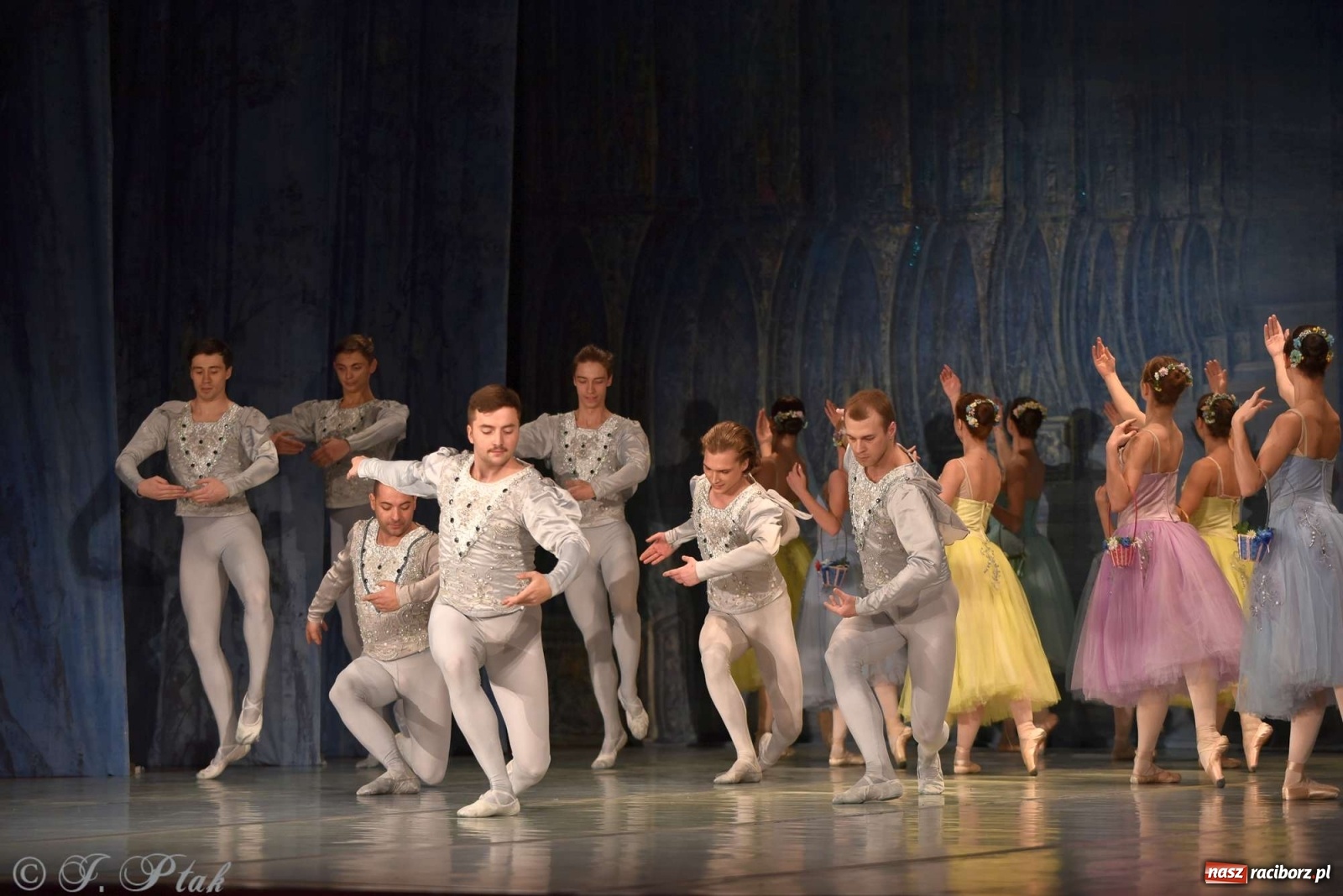 Zdjęcie w galerii na portalu naszraciborz.pl: Jezioro łabędzie. Arcydzieło Czajkowskiego na deskach RCK wiadomości z regionu