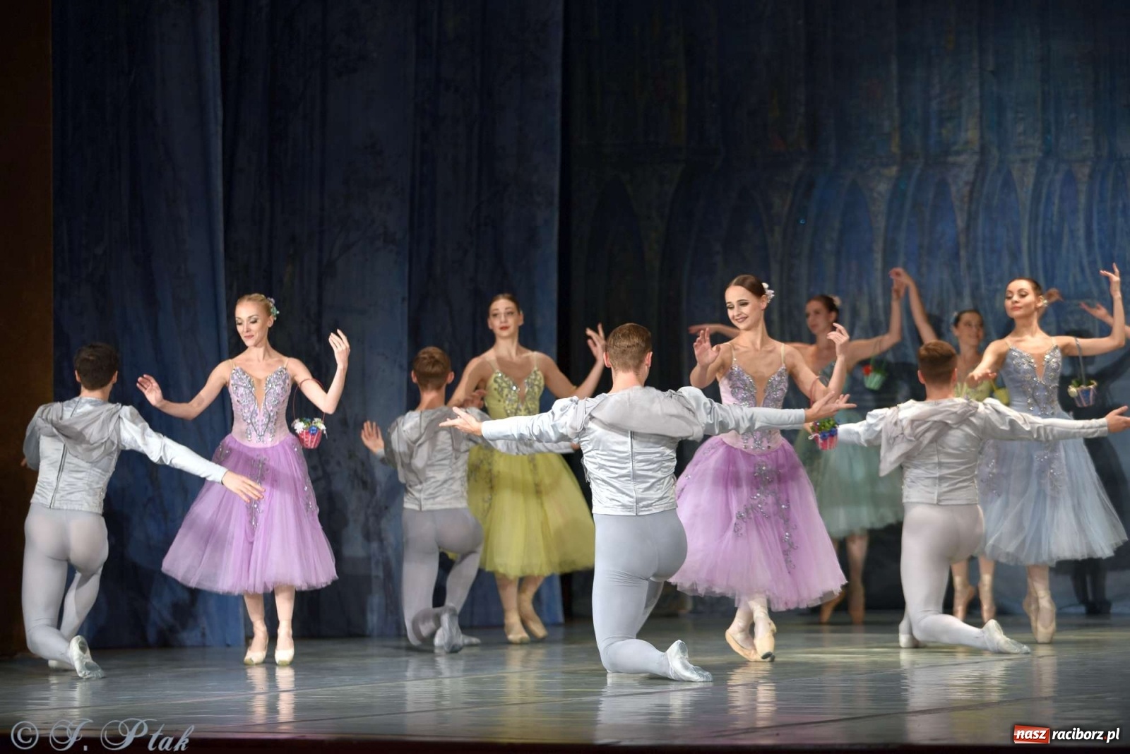 Zdjęcie w galerii na portalu naszraciborz.pl: Jezioro łabędzie. Arcydzieło Czajkowskiego na deskach RCK wiadomości z regionu