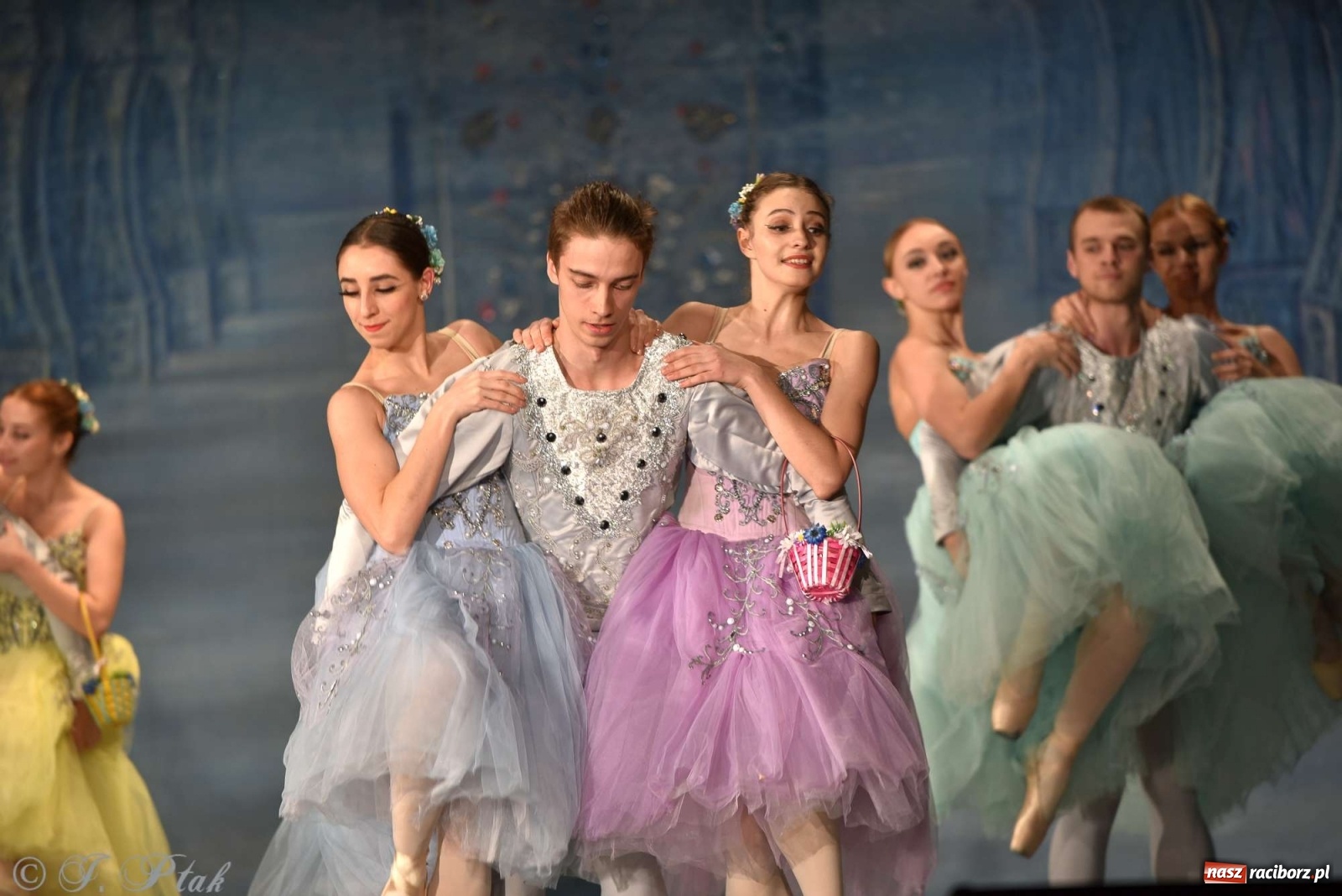 Zdjęcie w galerii na portalu naszraciborz.pl: Jezioro łabędzie. Arcydzieło Czajkowskiego na deskach RCK wiadomości z regionu