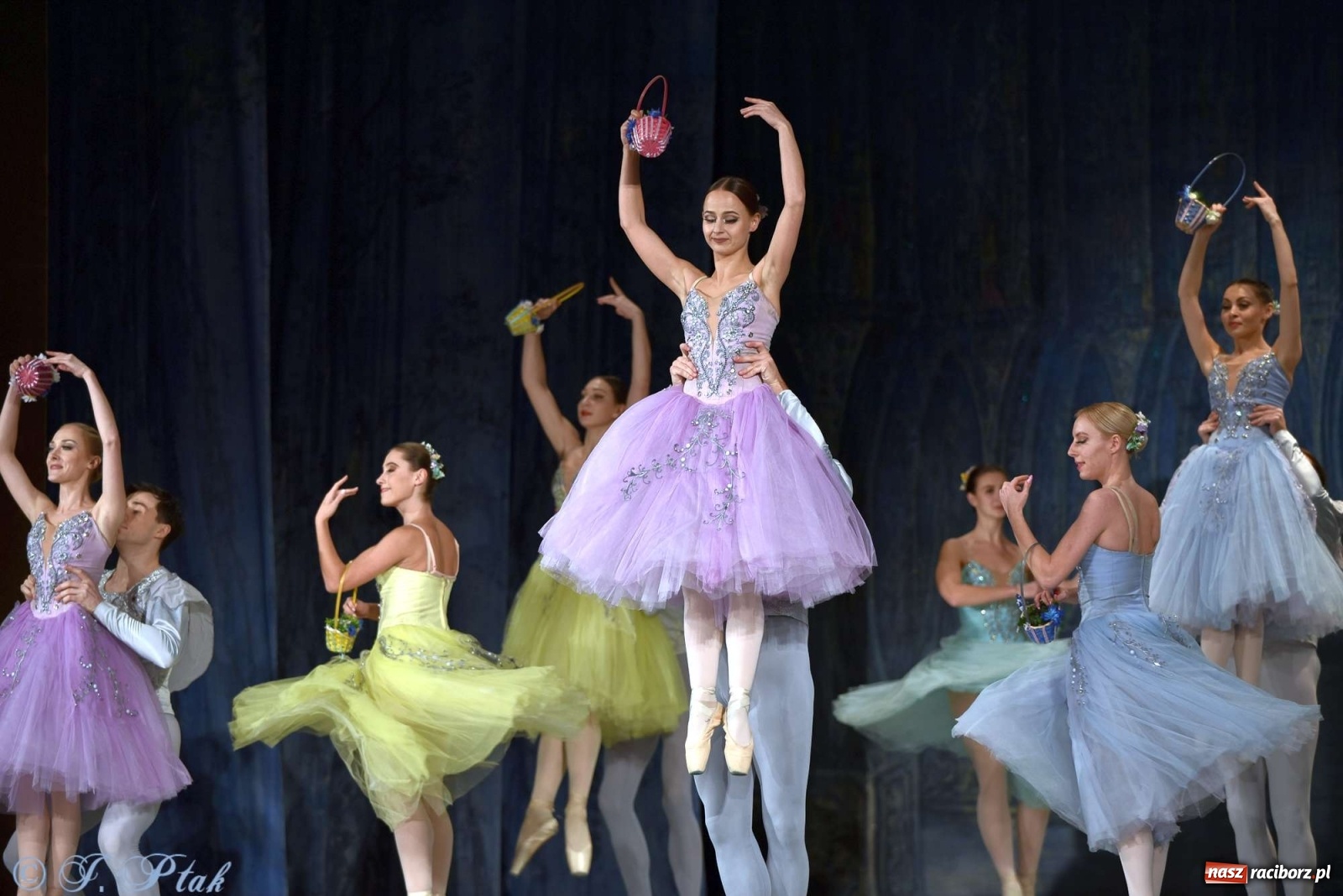 Zdjęcie w galerii na portalu naszraciborz.pl: Jezioro łabędzie. Arcydzieło Czajkowskiego na deskach RCK wiadomości z regionu