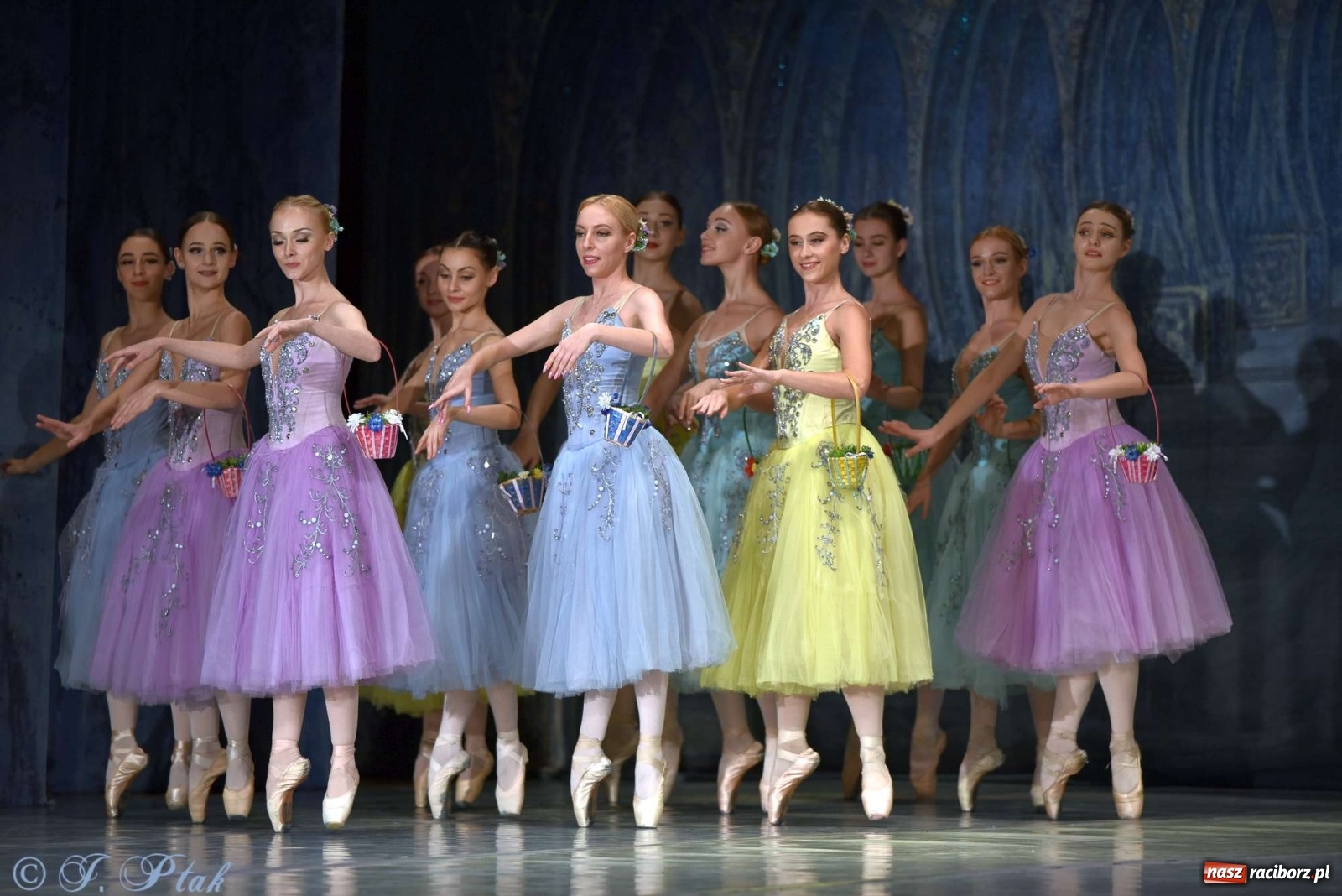 Zdjęcie w galerii na portalu naszraciborz.pl: Jezioro łabędzie. Arcydzieło Czajkowskiego na deskach RCK wiadomości z regionu