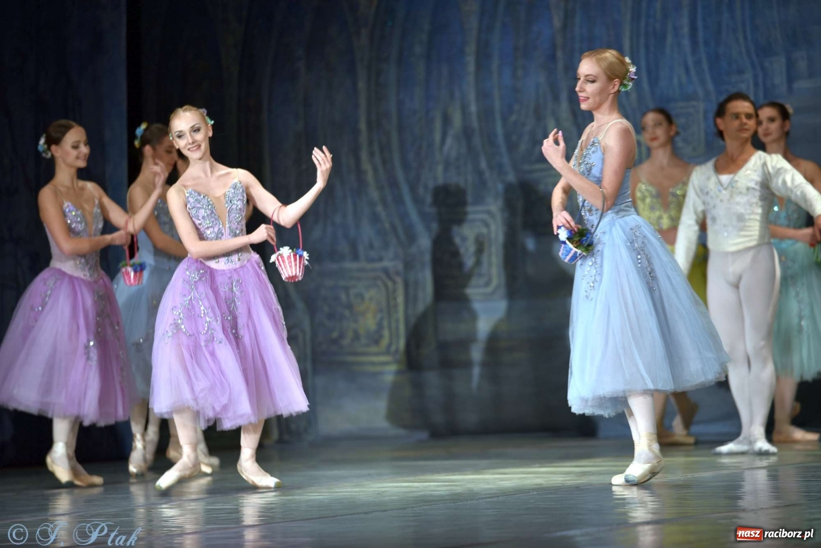 Zdjęcie w galerii na portalu naszraciborz.pl: Jezioro łabędzie. Arcydzieło Czajkowskiego na deskach RCK wiadomości z regionu