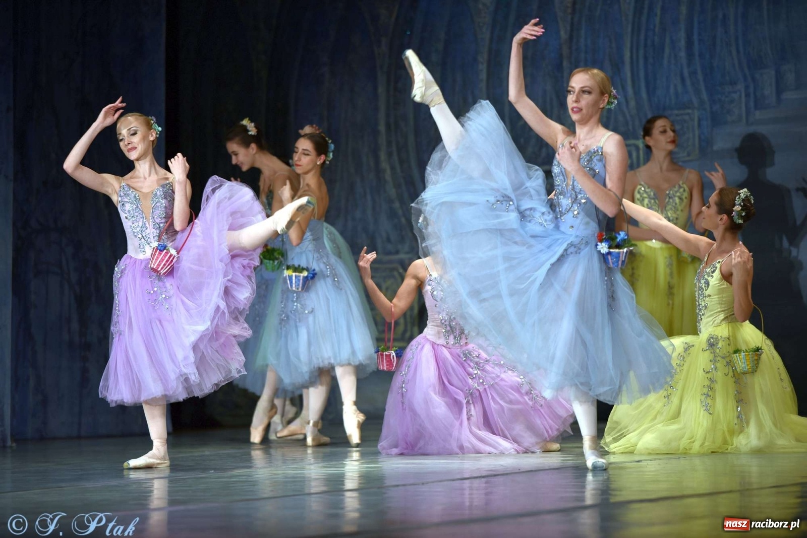 Zdjęcie w galerii na portalu naszraciborz.pl: Jezioro łabędzie. Arcydzieło Czajkowskiego na deskach RCK wiadomości z regionu