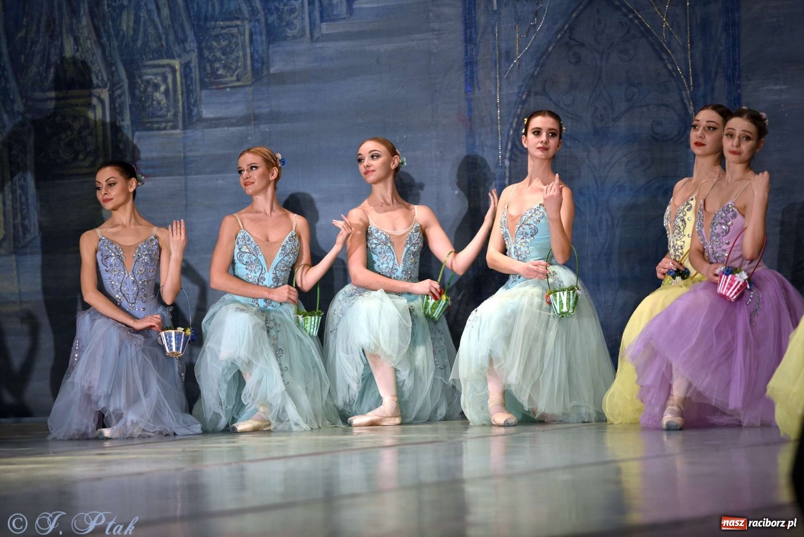 Zdjęcie w galerii na portalu naszraciborz.pl: Jezioro łabędzie. Arcydzieło Czajkowskiego na deskach RCK wiadomości z regionu