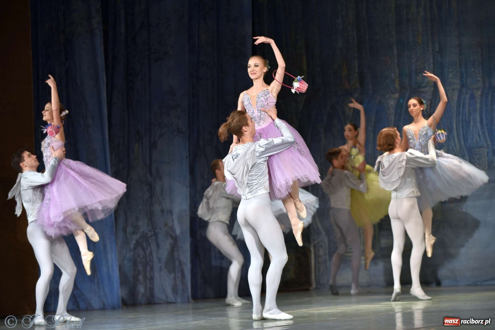 Zdjęcie w galerii na portalu naszraciborz.pl: Jezioro łabędzie. Arcydzieło Czajkowskiego na deskach RCK wiadomości z regionu