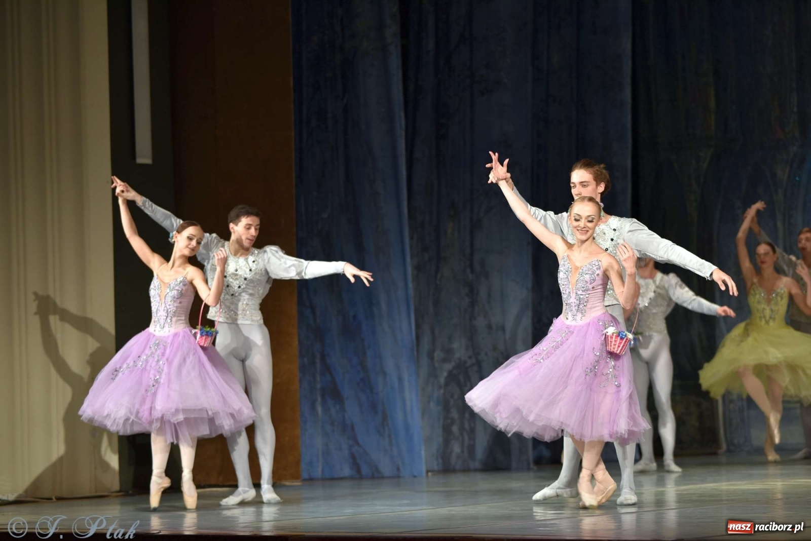 Zdjęcie w galerii na portalu naszraciborz.pl: Jezioro łabędzie. Arcydzieło Czajkowskiego na deskach RCK wiadomości z regionu