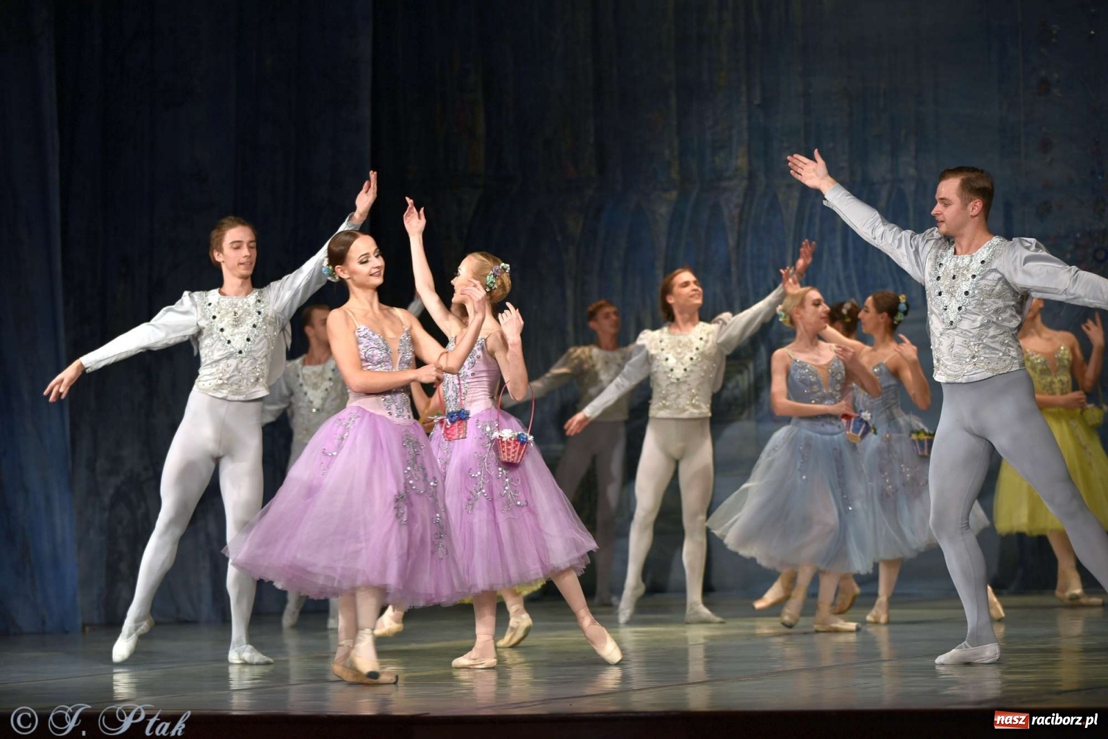 Zdjęcie w galerii na portalu naszraciborz.pl: Jezioro łabędzie. Arcydzieło Czajkowskiego na deskach RCK wiadomości z regionu