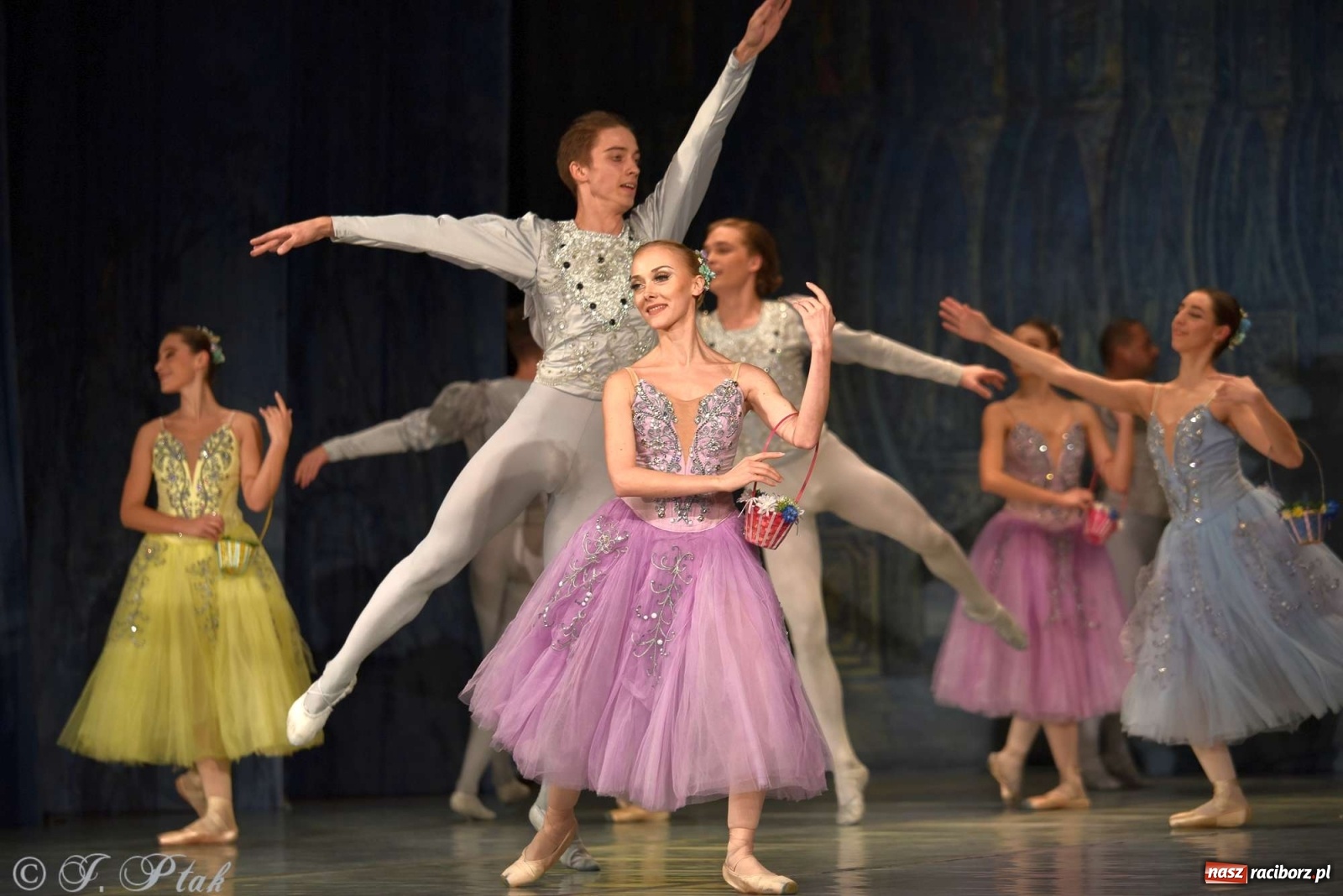 Zdjęcie w galerii na portalu naszraciborz.pl: Jezioro łabędzie. Arcydzieło Czajkowskiego na deskach RCK wiadomości z regionu