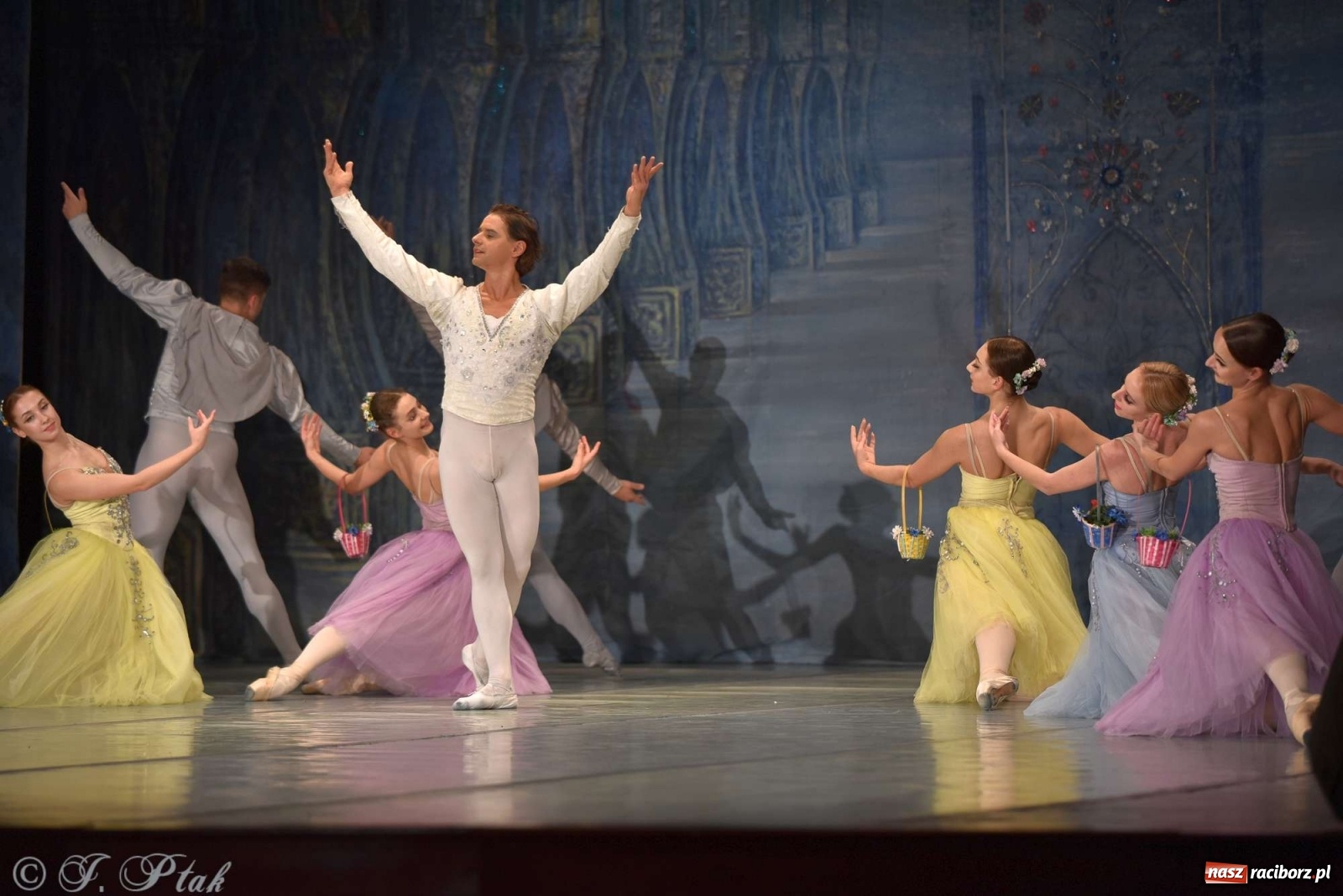 Zdjęcie w galerii na portalu naszraciborz.pl: Jezioro łabędzie. Arcydzieło Czajkowskiego na deskach RCK wiadomości z regionu