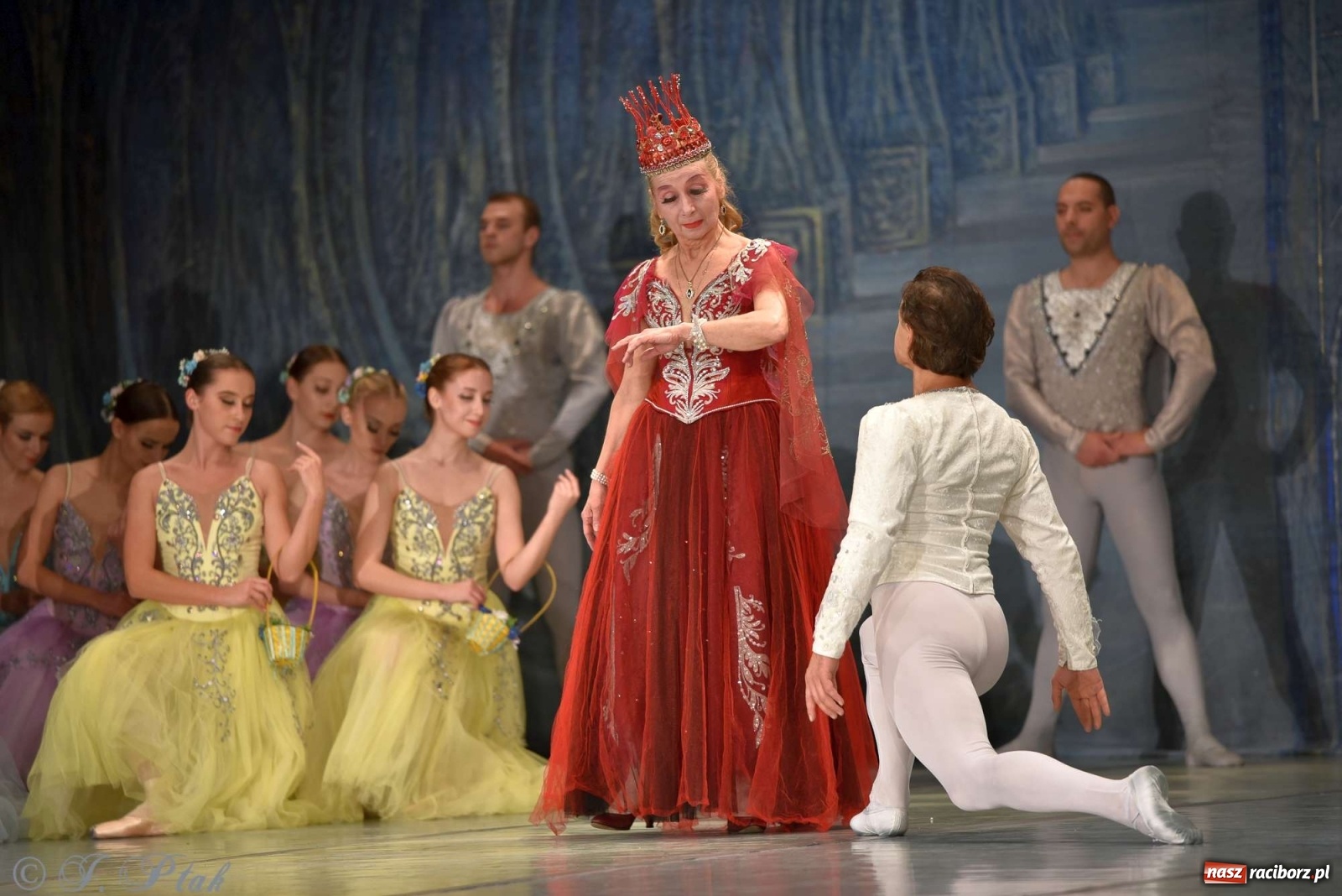 Zdjęcie w galerii na portalu naszraciborz.pl: Jezioro łabędzie. Arcydzieło Czajkowskiego na deskach RCK wiadomości z regionu