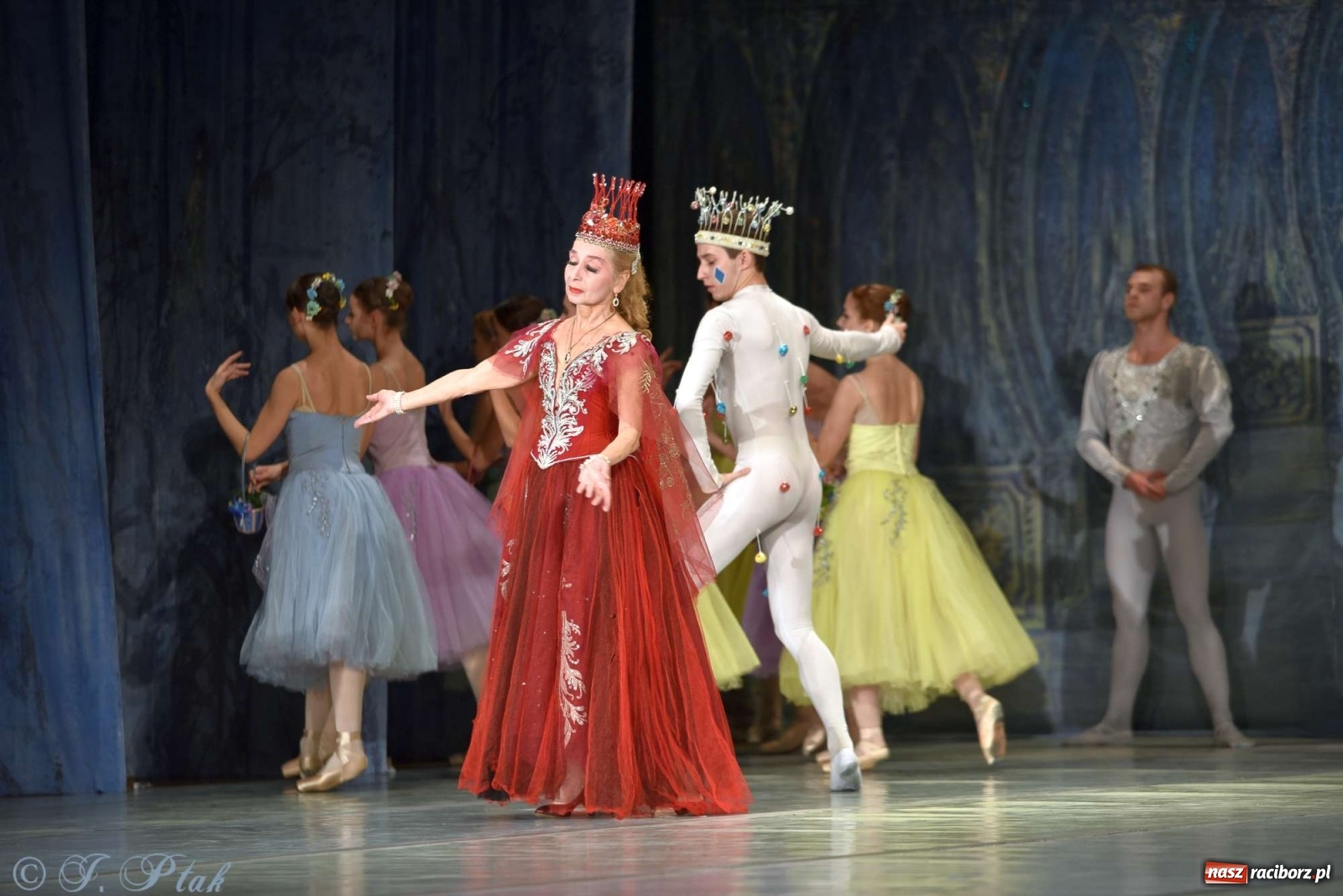 Zdjęcie w galerii na portalu naszraciborz.pl: Jezioro łabędzie. Arcydzieło Czajkowskiego na deskach RCK wiadomości z regionu