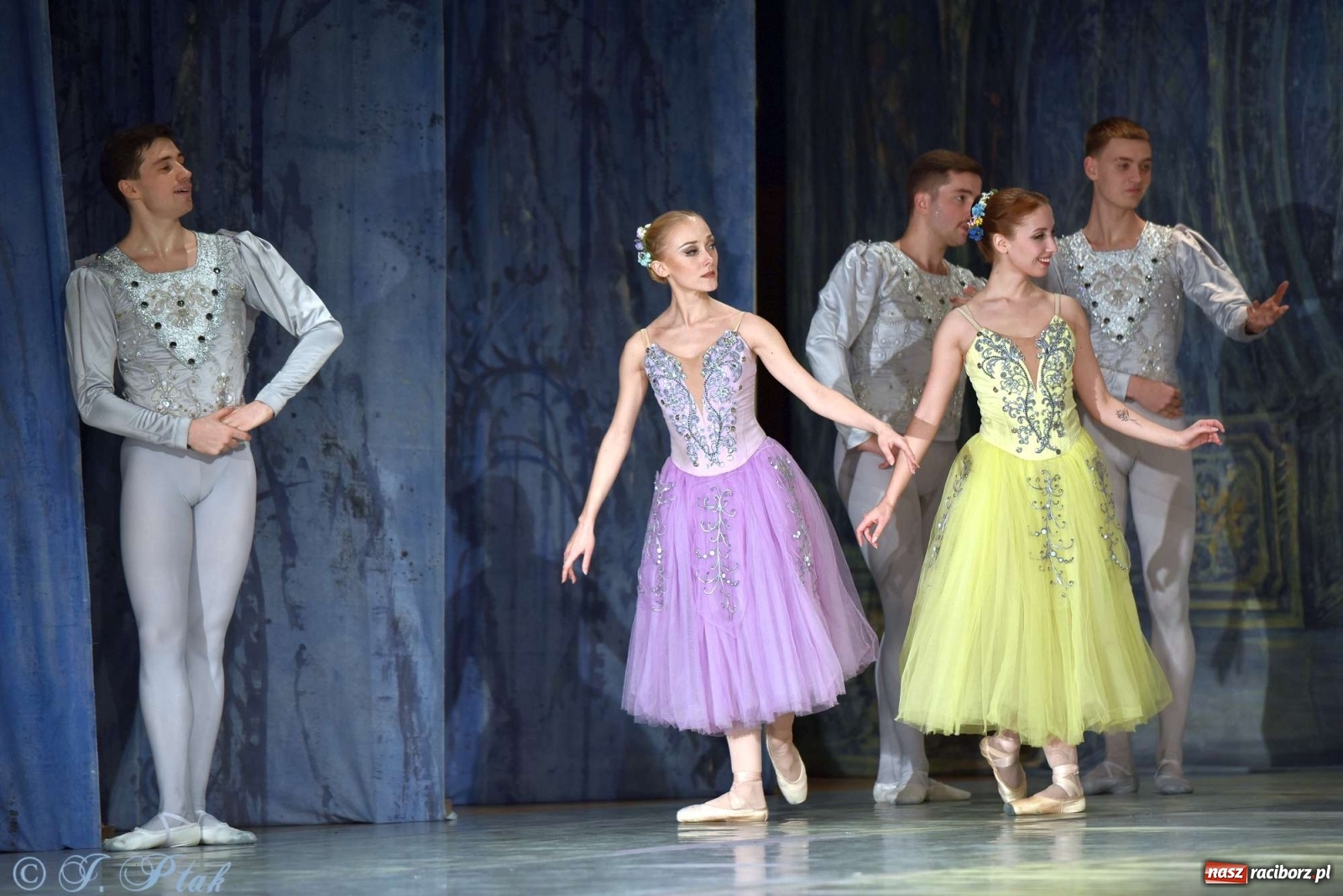 Zdjęcie w galerii na portalu naszraciborz.pl: Jezioro łabędzie. Arcydzieło Czajkowskiego na deskach RCK wiadomości z regionu